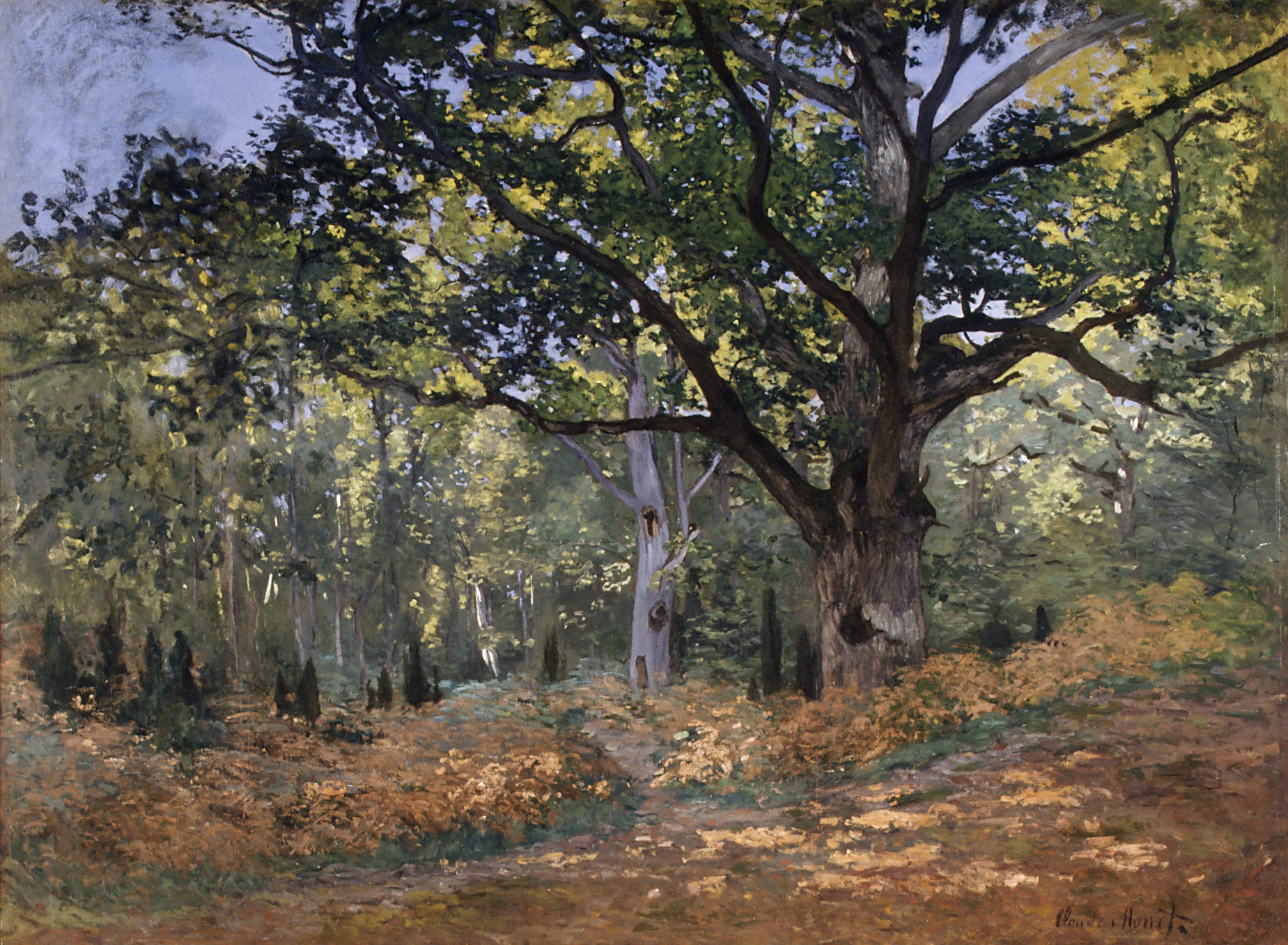 Le Chêne de Bodmer, la route de Chailly - Claude Monet