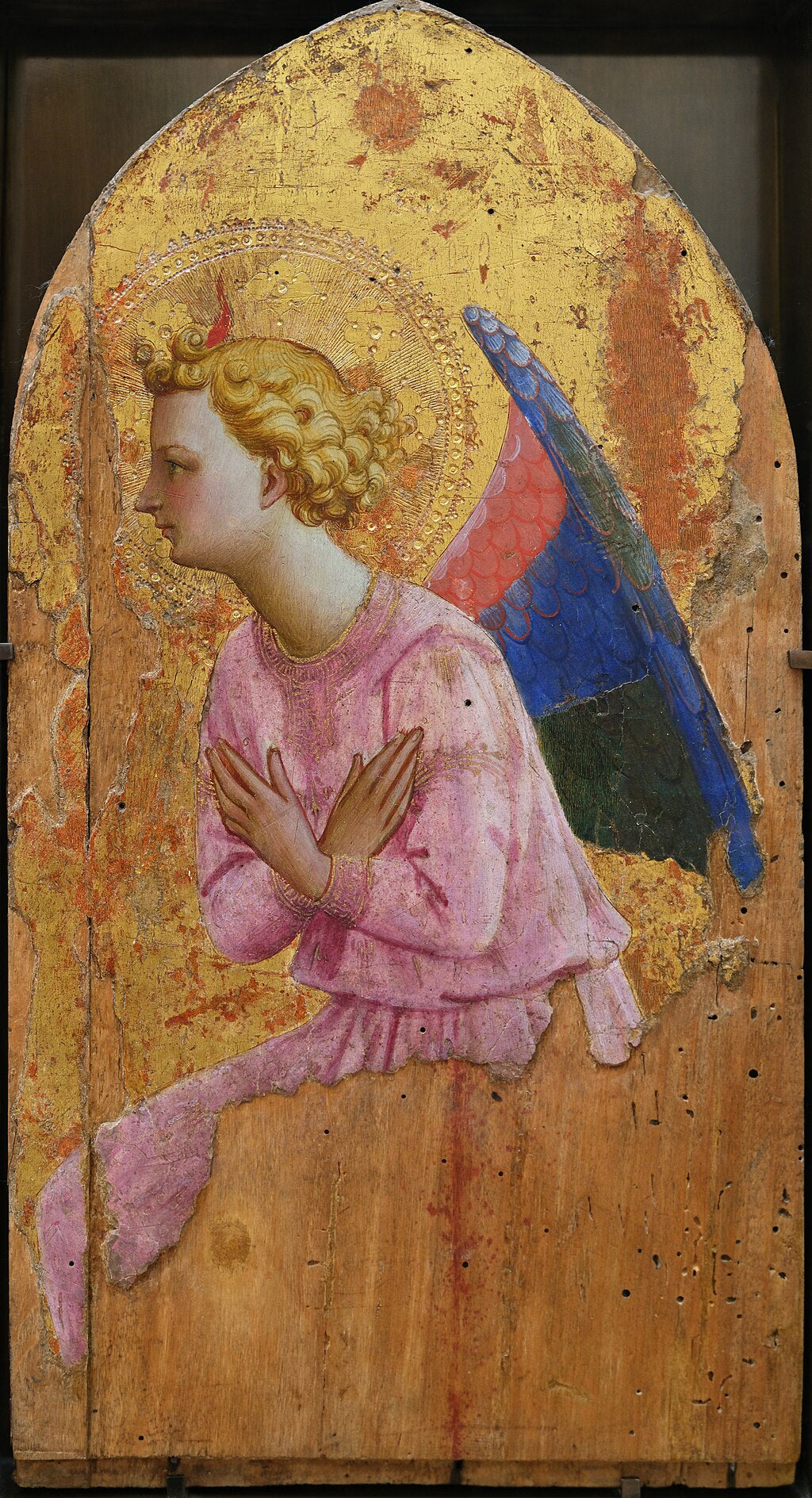 Ange en adoration, tourné vers la gauche - Fra Angelico