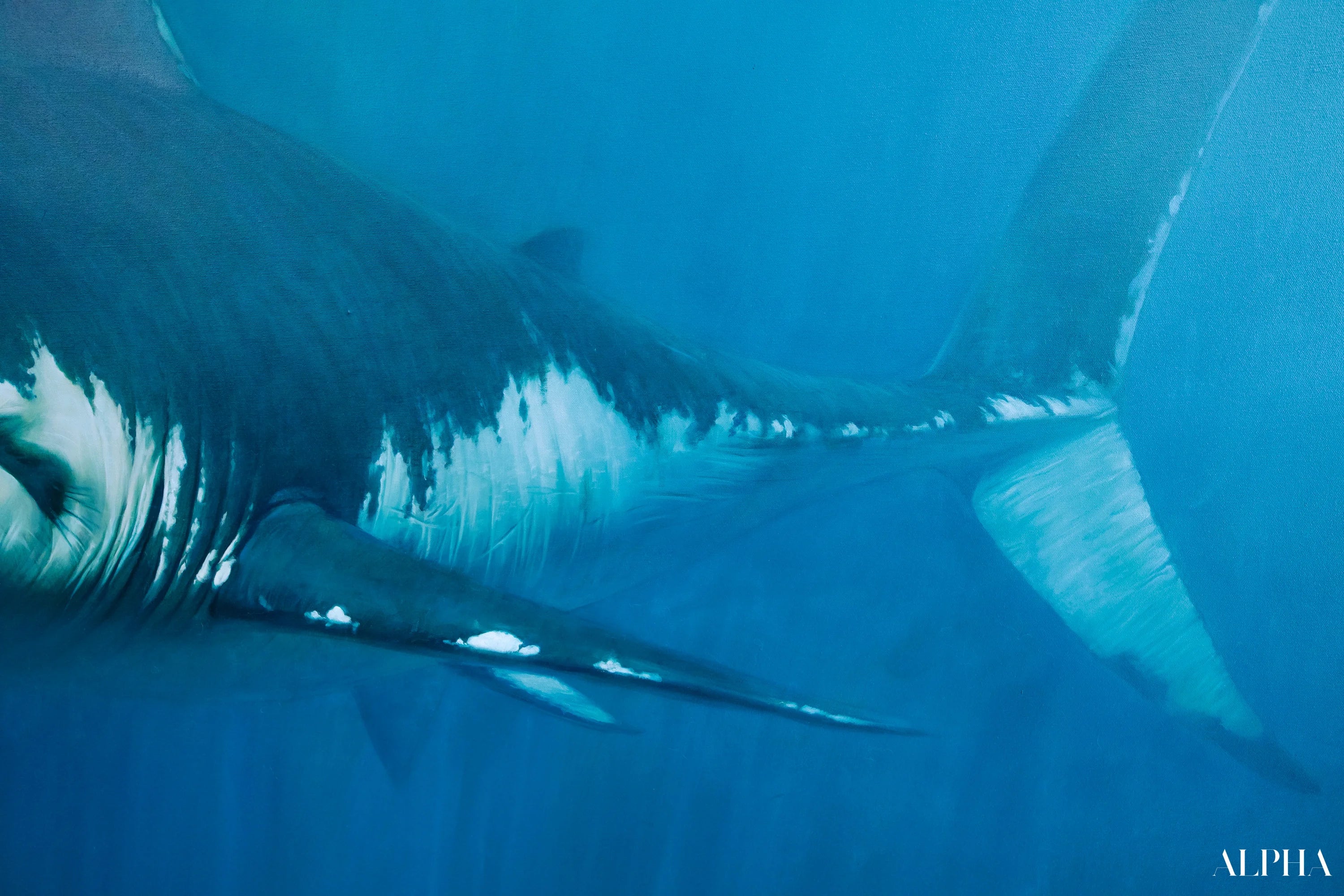 Requin | 150 x 200 cm Reproductions de tableaux à la peinture à l’huile