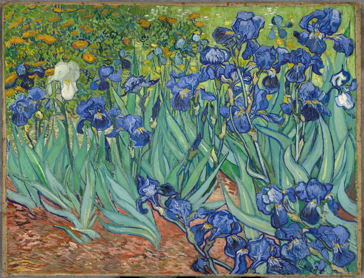 Iris de Vincent van Gogh peints à Saint-Rémy