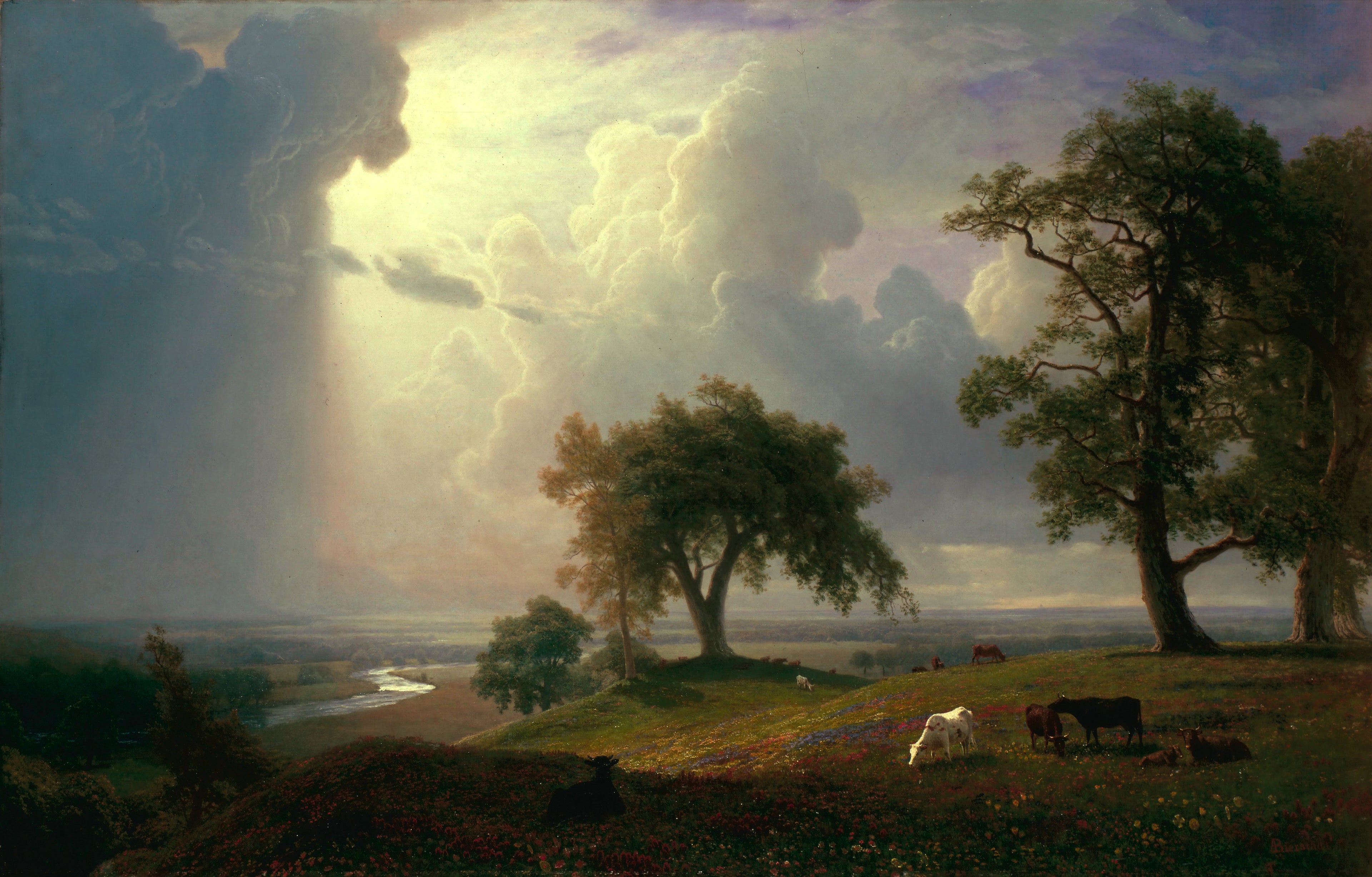 Printemps californien - Albert Bierstadt