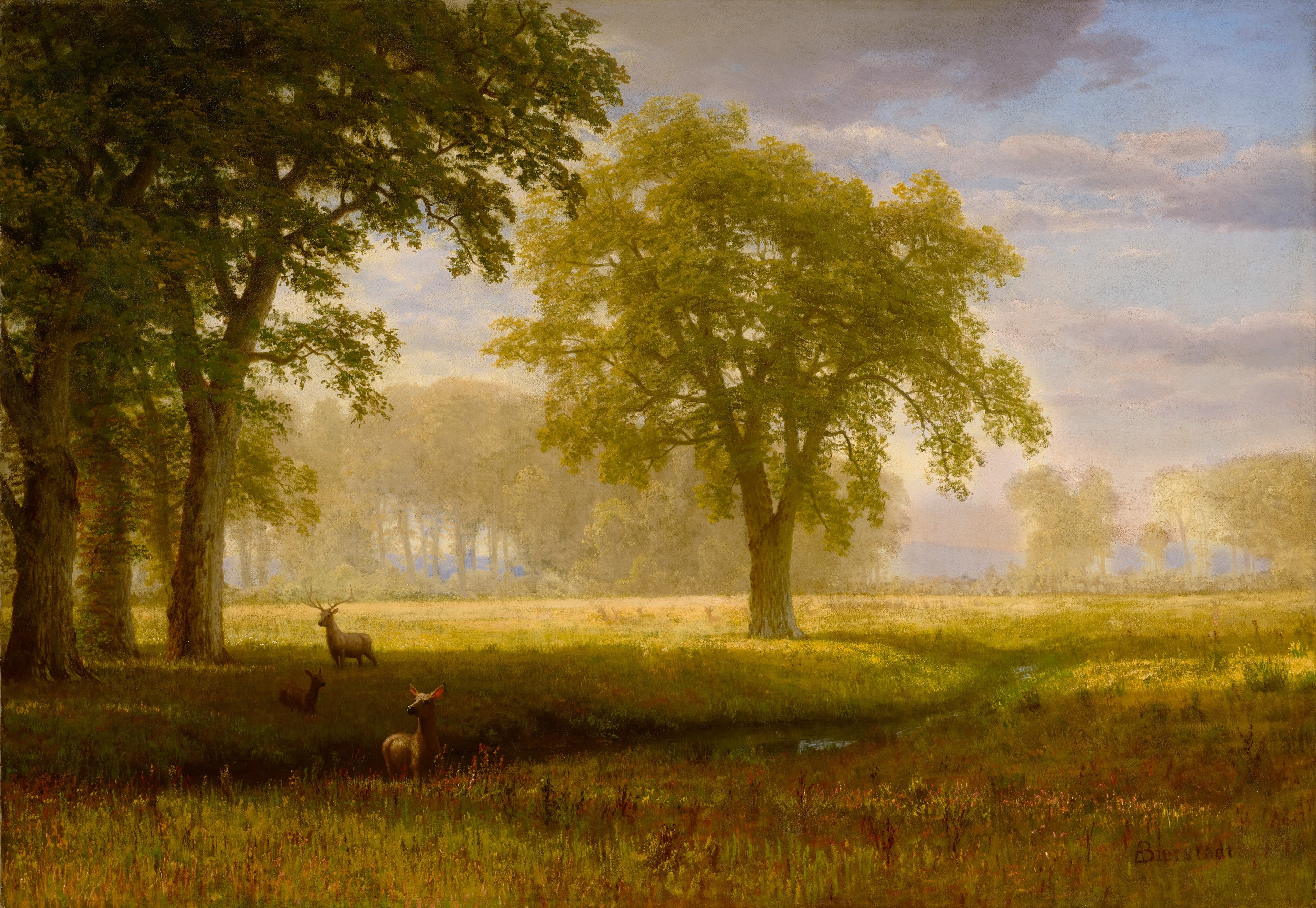 Élan à Oak Grove (Tuolumne Meadows) - Albert Bierstadt