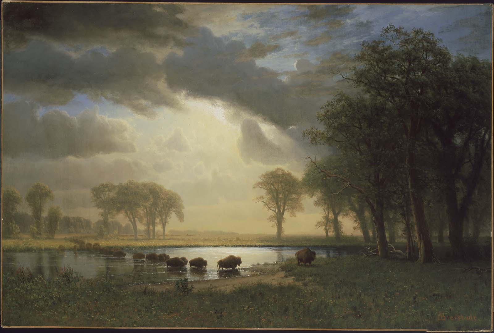 Le sentier du bison - Albert Bierstadt