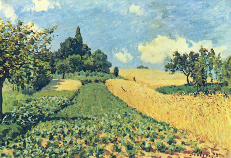 Champs de blé sur les hauteurs d'Argenteuil - Alfred Sisley