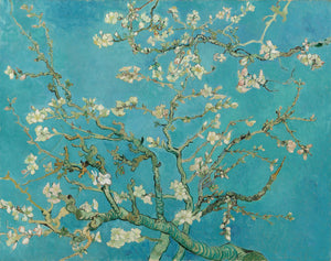 Amandier en fleurs - Vincent van Gogh