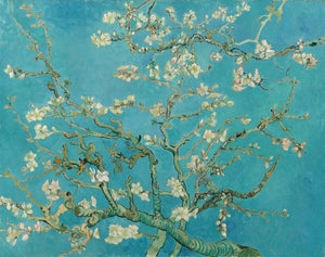 Amandier en fleurs - Vincent van Gogh