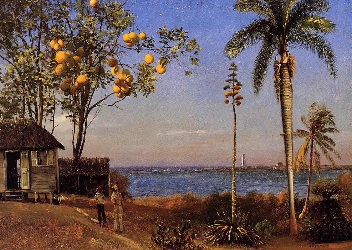 Une vue aux Bahamas, huile sur papier marouflé sur boa, 48,58 x 35,24 cm - Albert Bierstadt