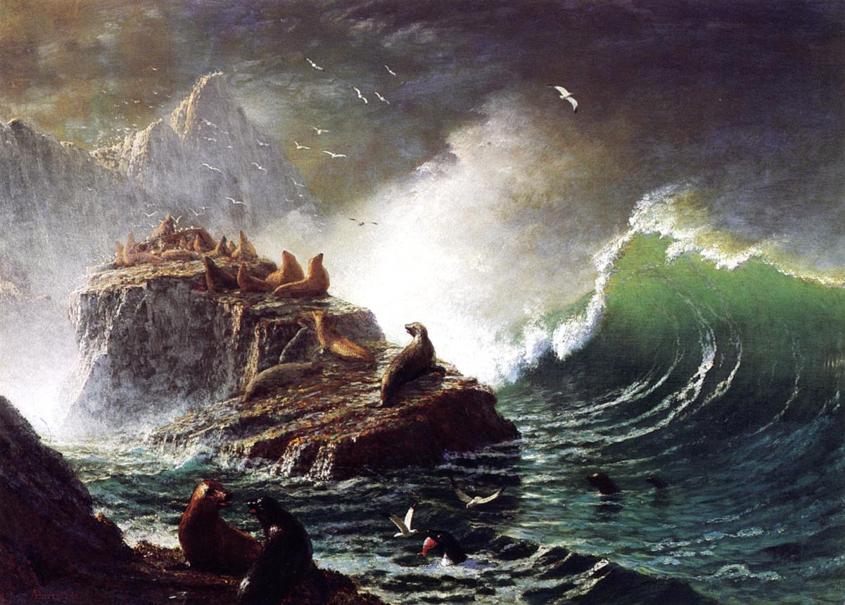 Phoques sur les rochers, îles Farallon - Albert Bierstadt
