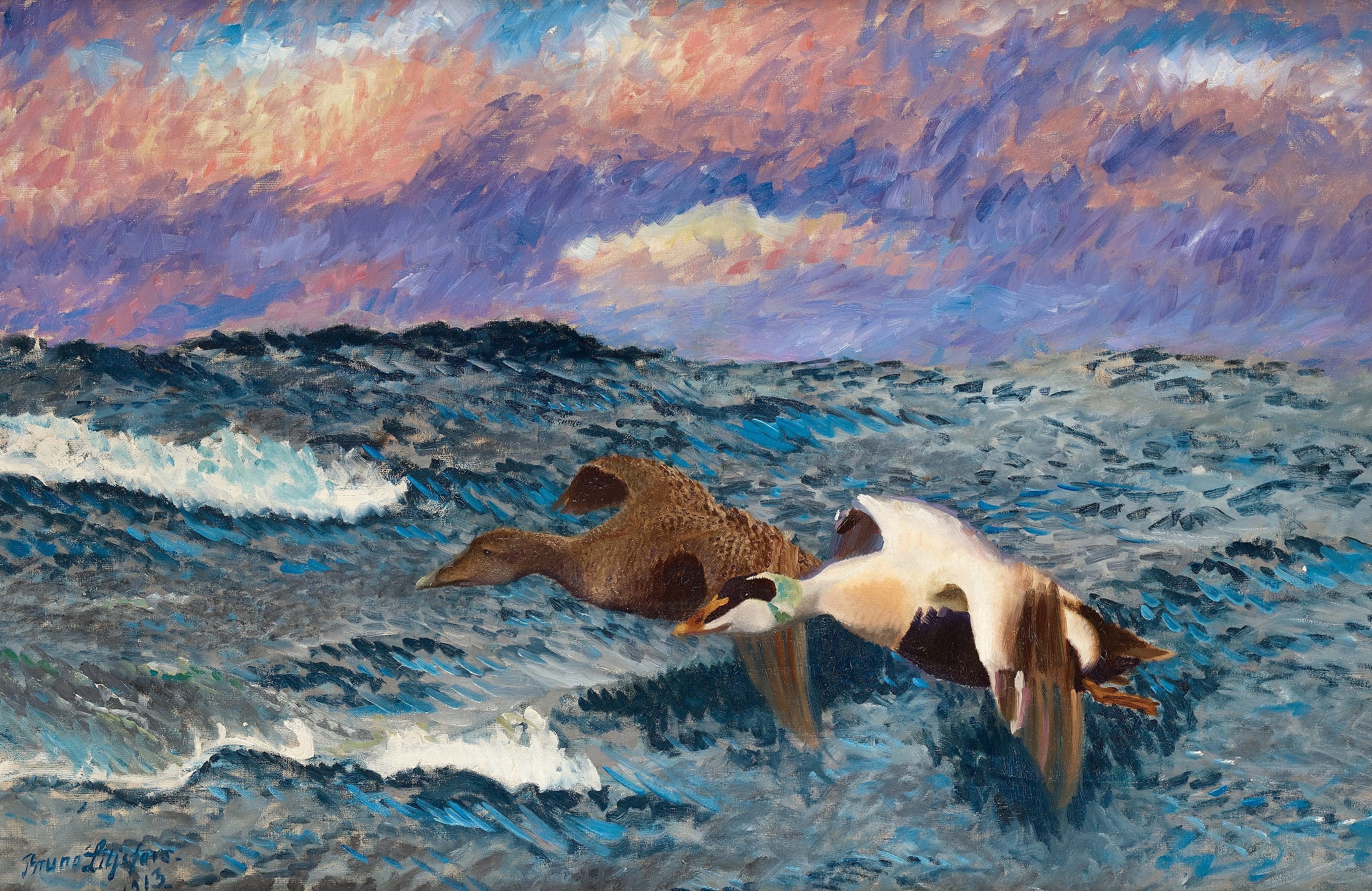 Un couple d'eiders volants - Bruno Liljefors