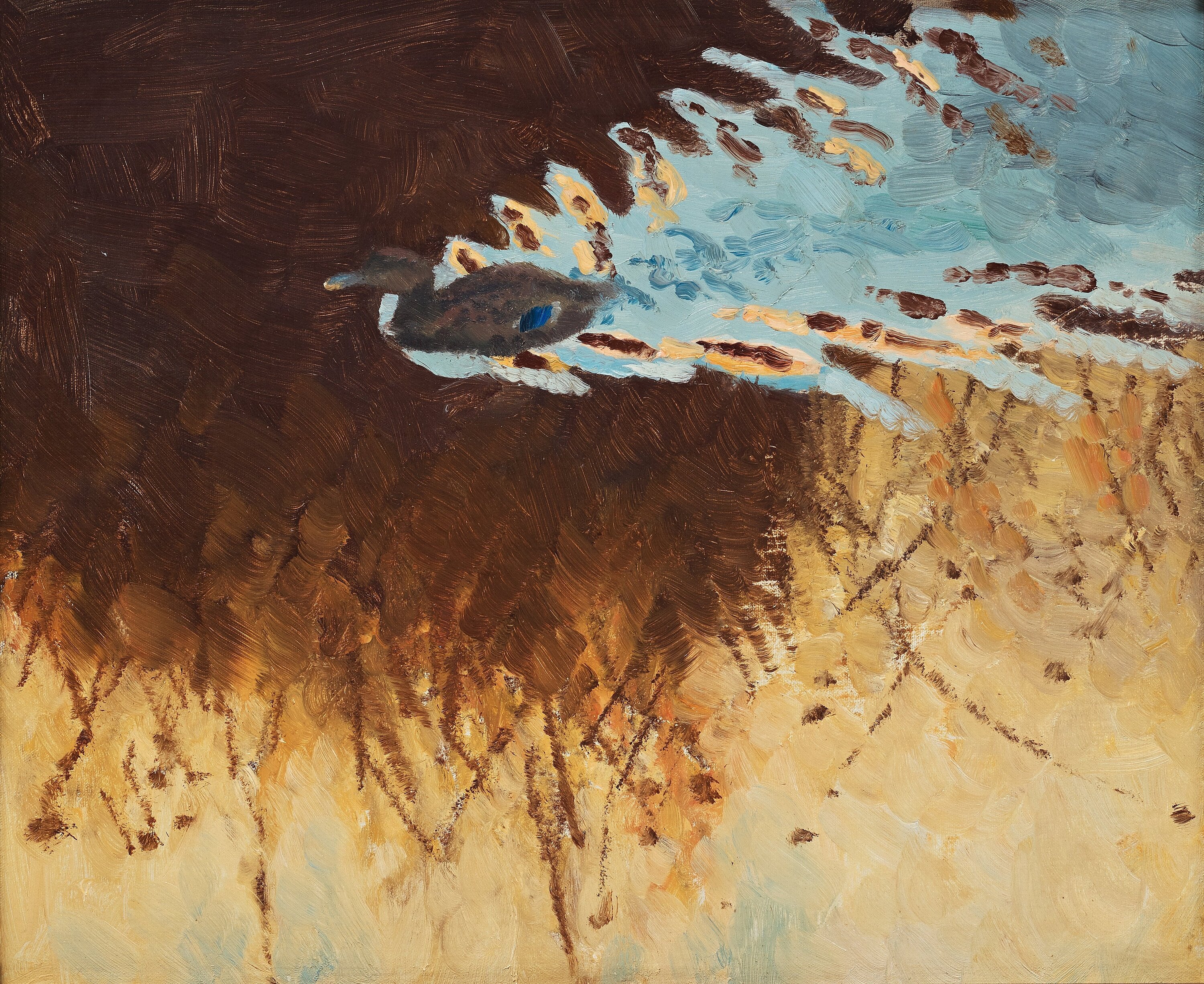 reflets de canards et d'eau - Bruno Liljefors