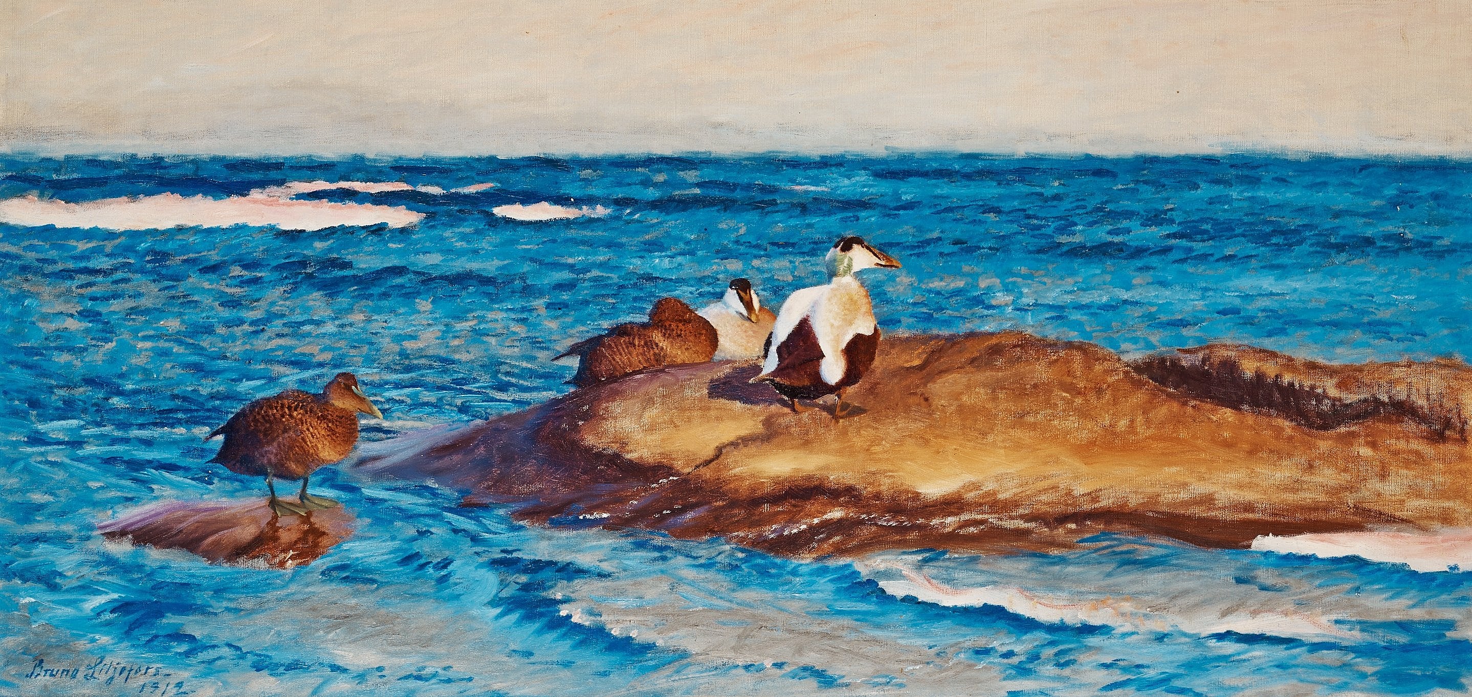 Eiders à duvet sur des îlots - Bruno Liljefors