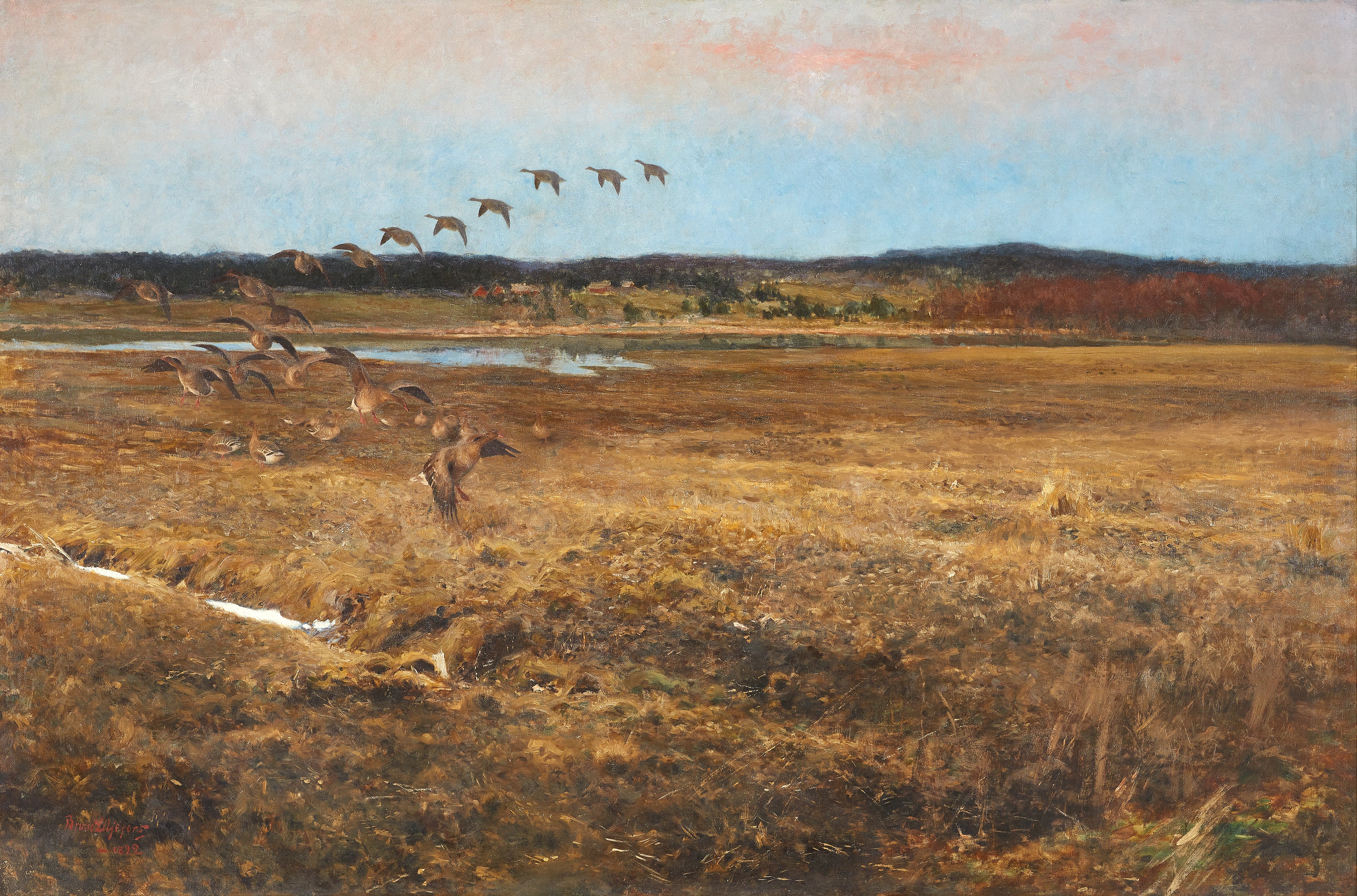 Q135403845 - Bruno Liljefors