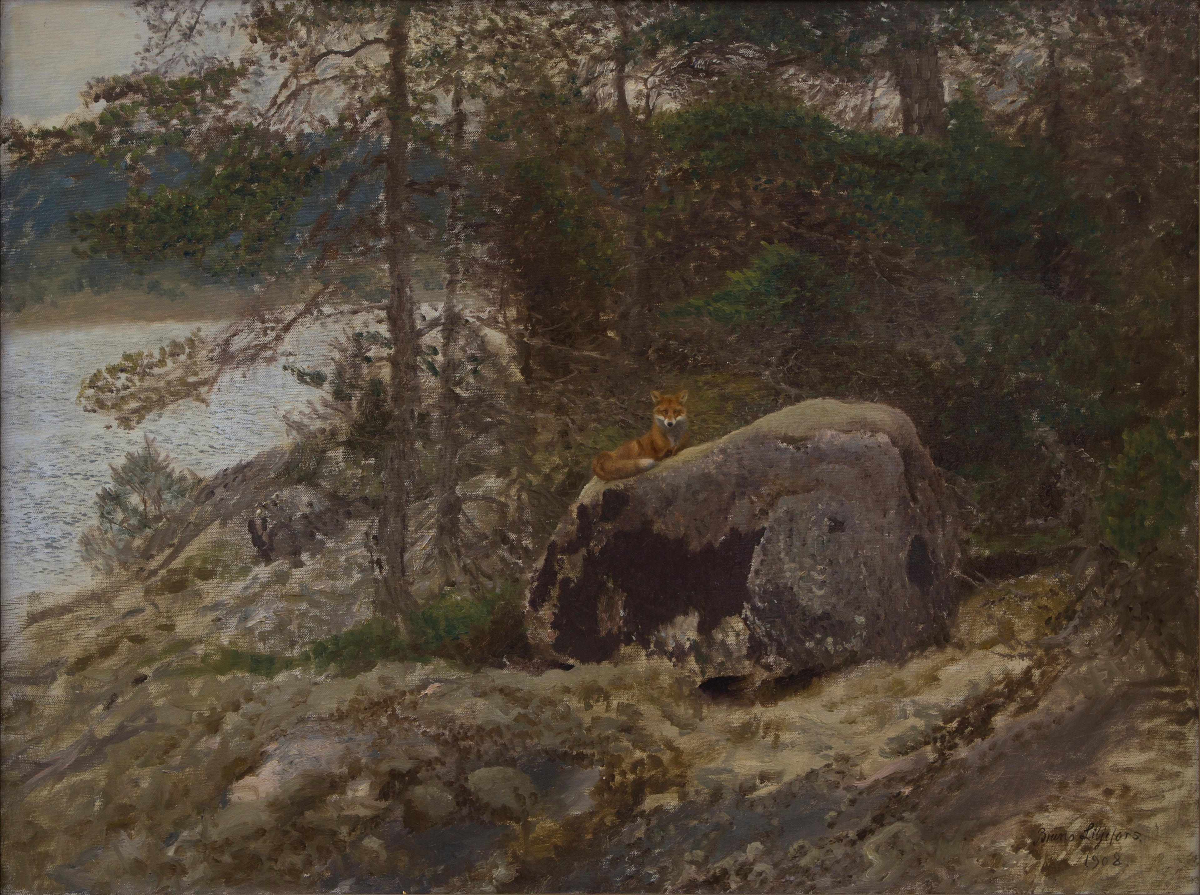 Renard - Bruno Liljefors