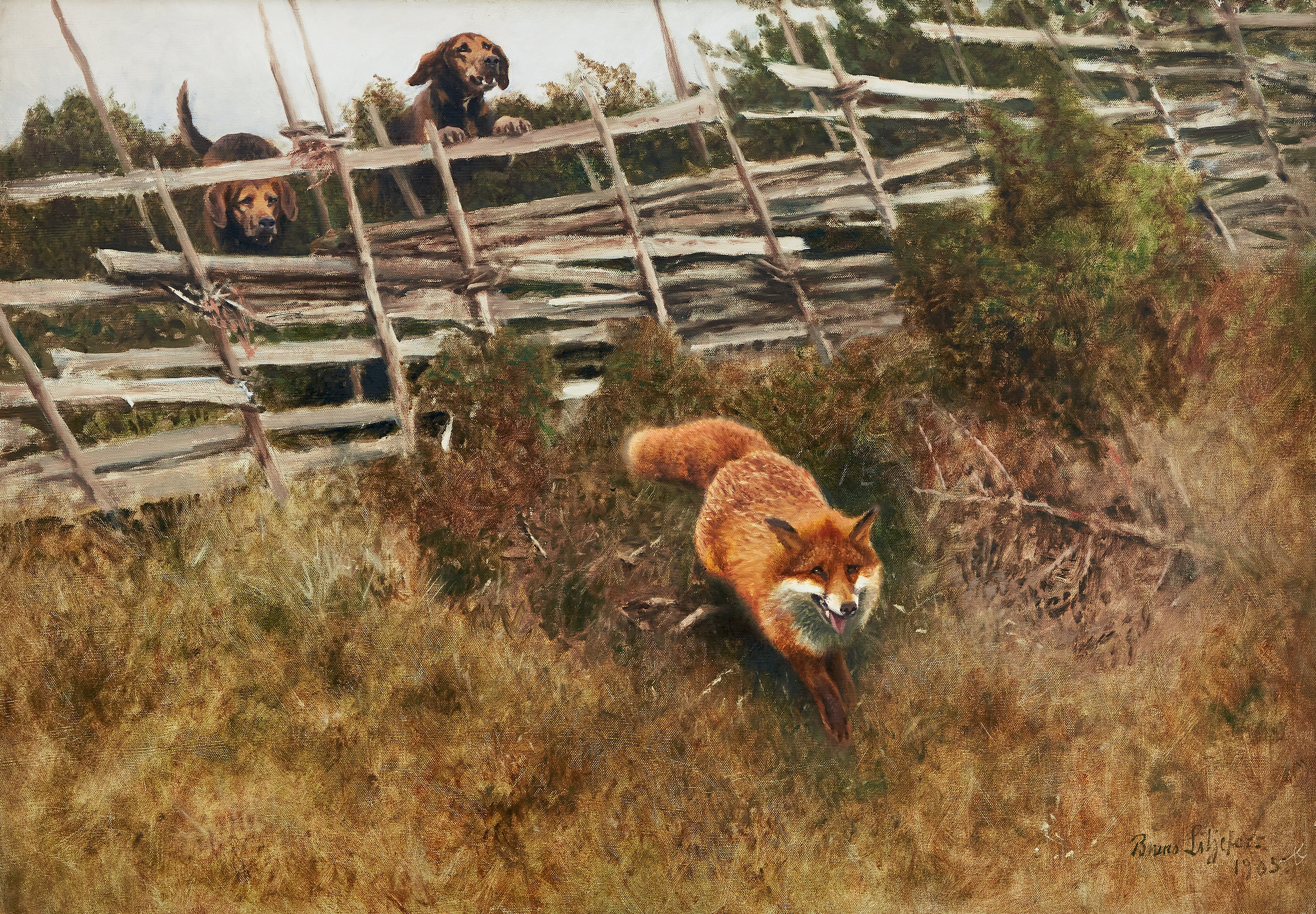 Renard chassé par des chiens - Bruno Liljefors