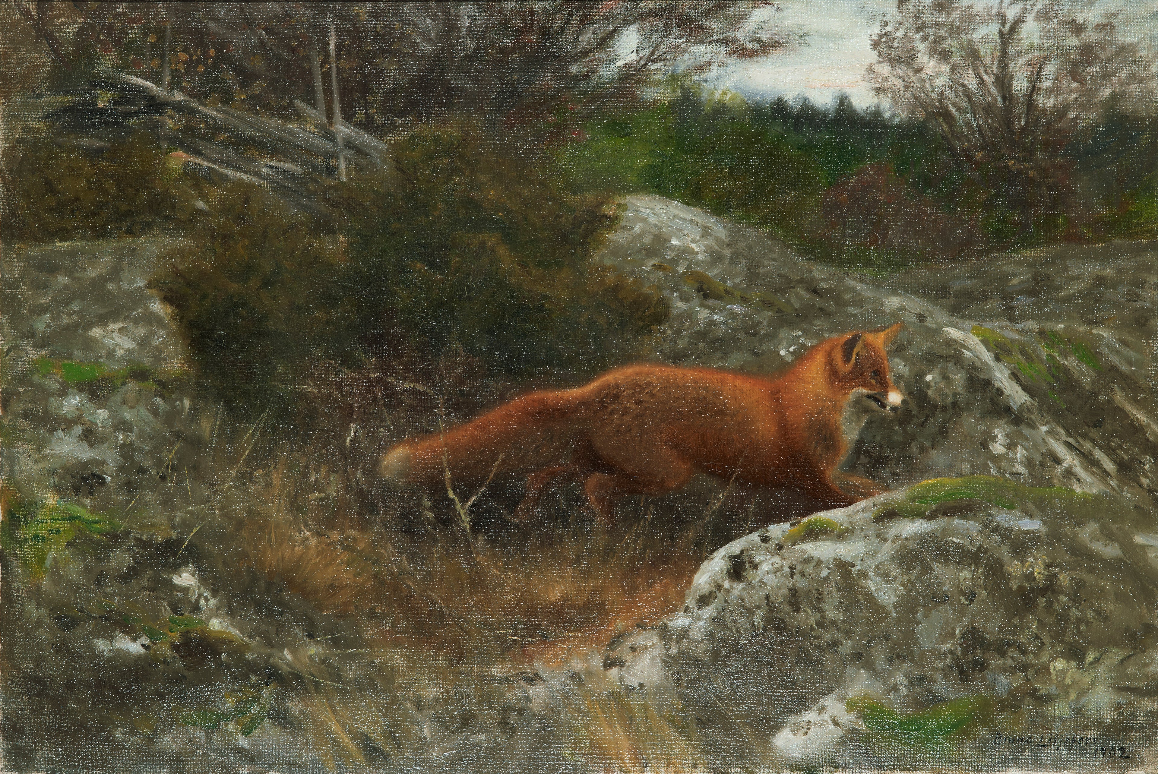 Renard dans un paysage d'automne - Bruno Liljefors