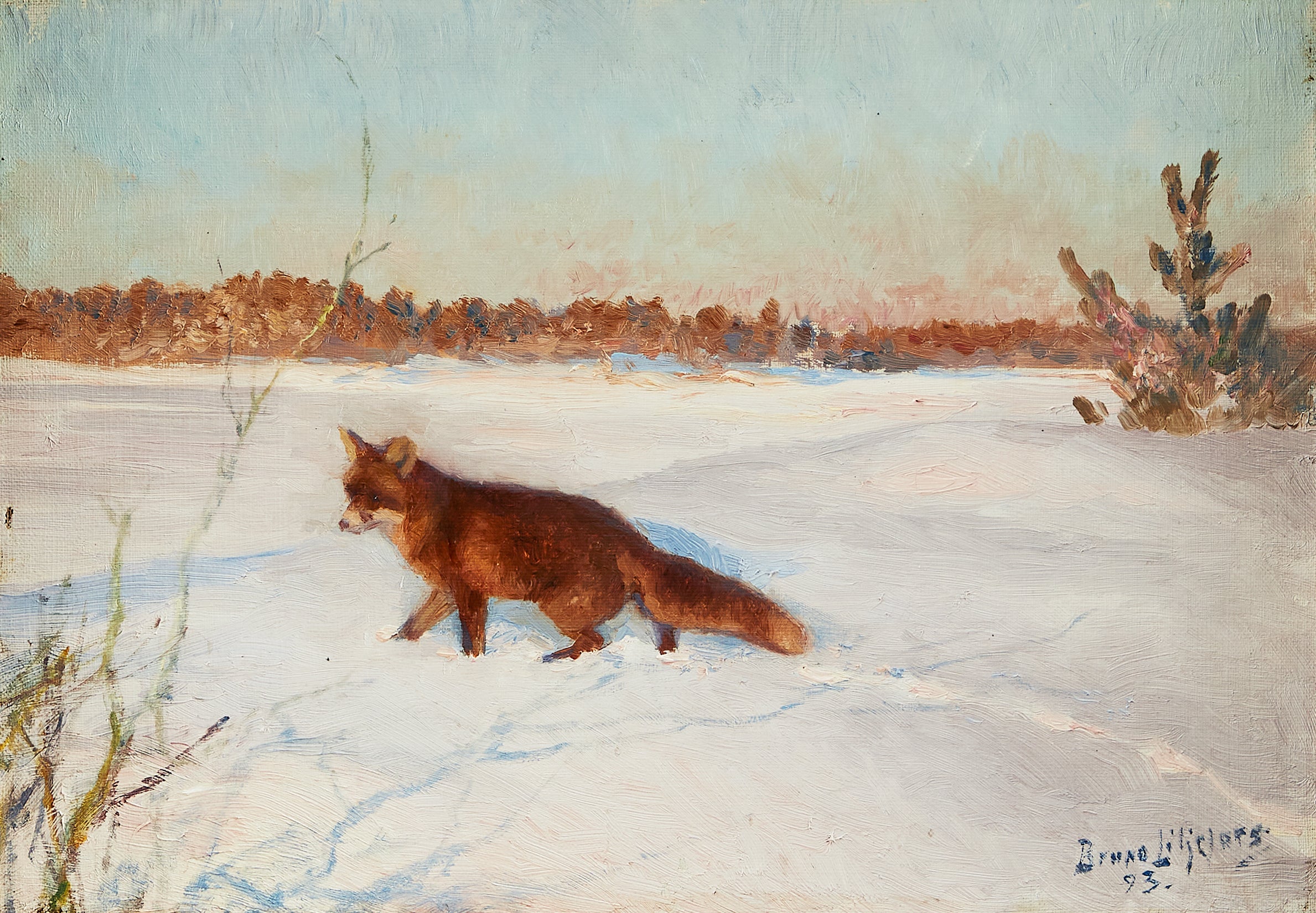 Renard dans un paysage hivernal enneigé - Bruno Liljefors