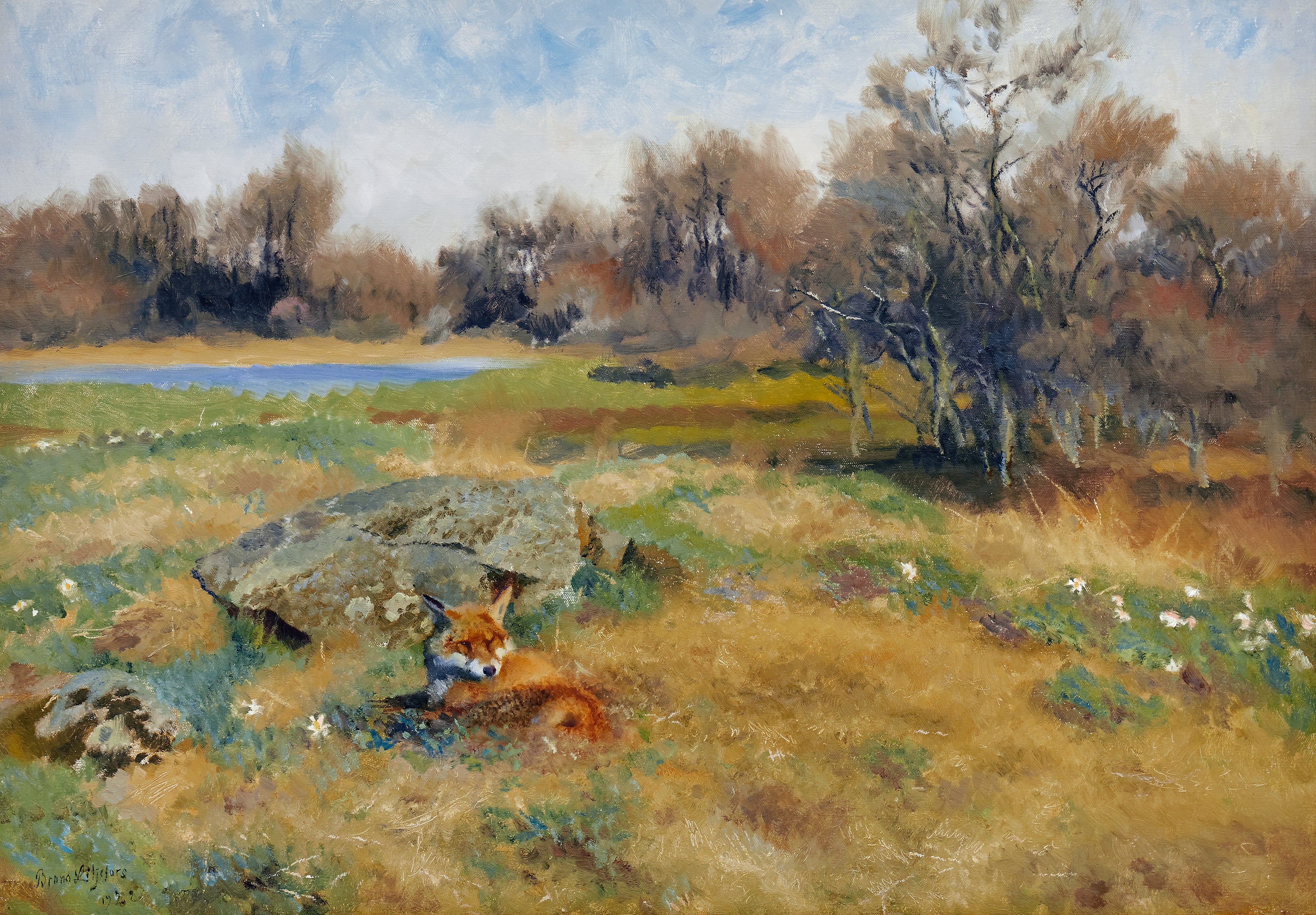 Renard dans une prairie printanière en fleurs - Bruno Liljefors