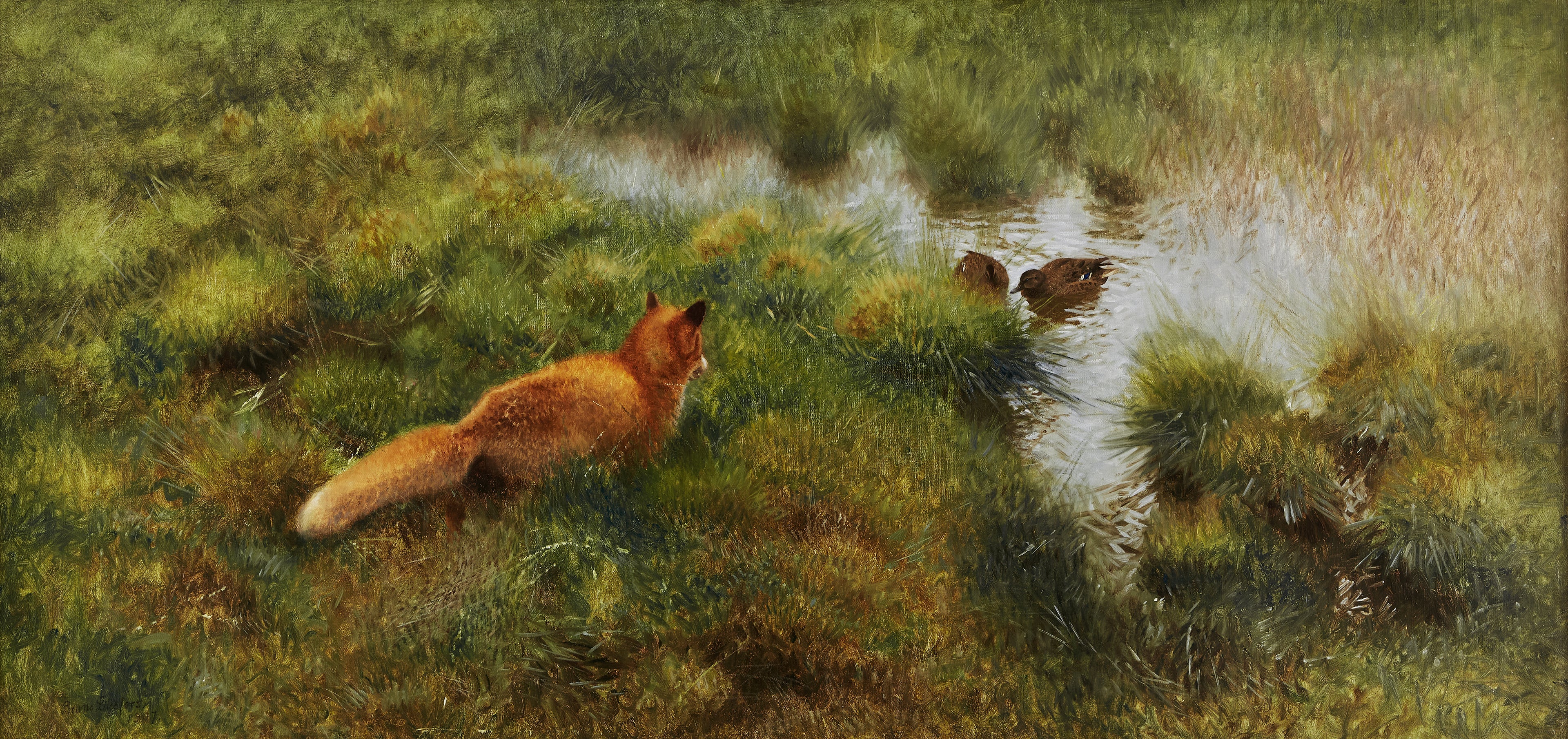 Un renard traque des canards au bord d'un cours d'eau. - Bruno Liljefors