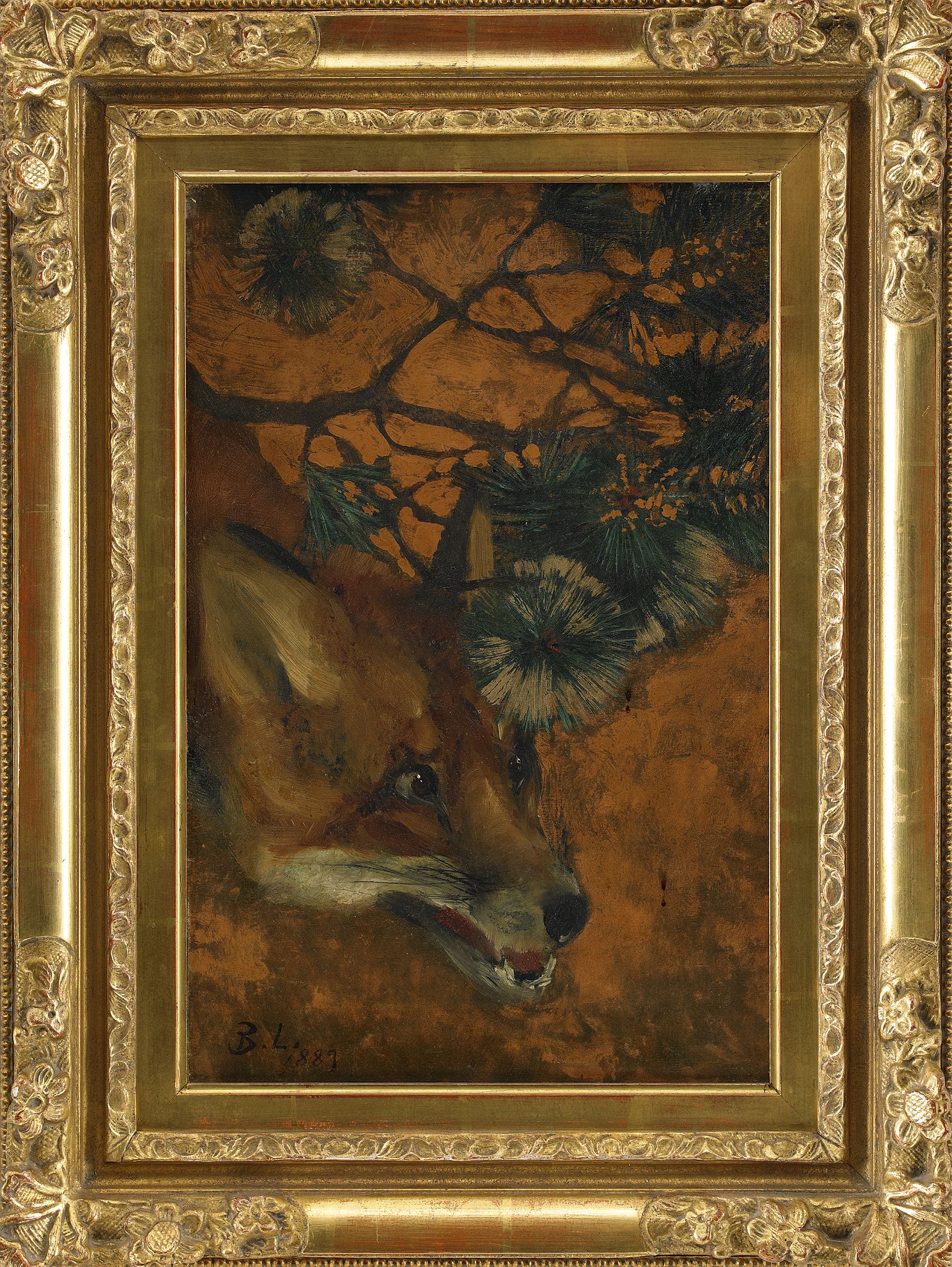 Renard sous une branche de pin - Bruno Liljefors