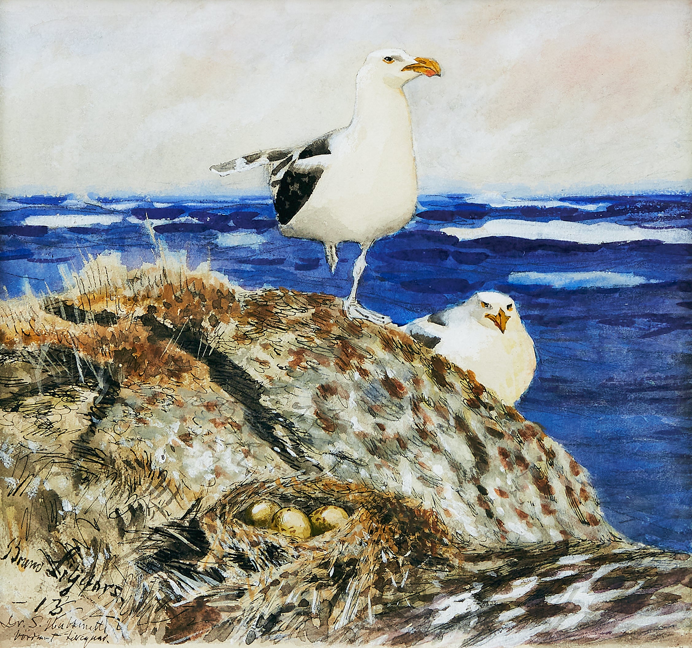 Goélands marins - Bruno Liljefors