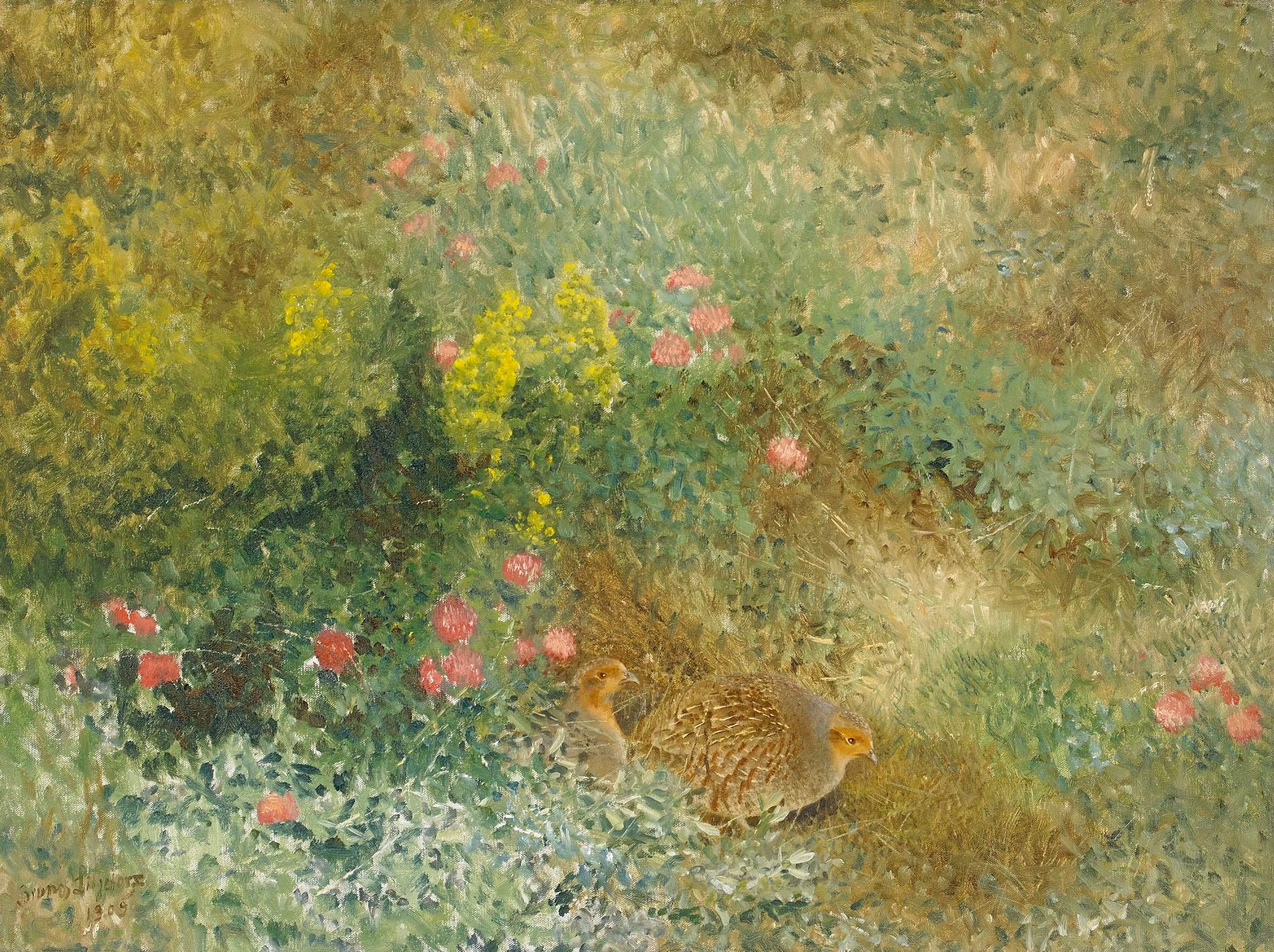 Perdrix grises - Bruno Liljefors