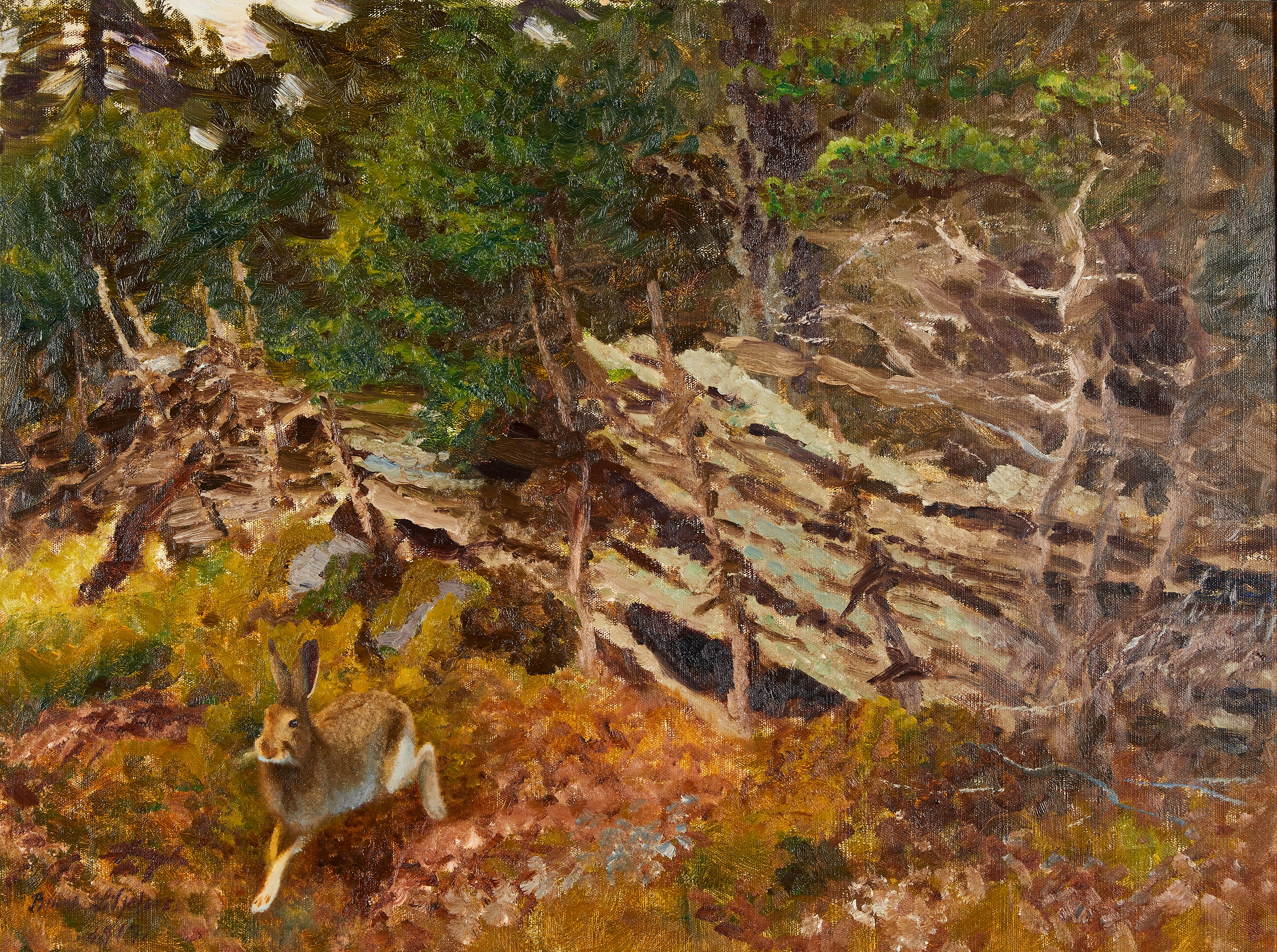 Lièvre dans un paysage forestier - Bruno Liljefors