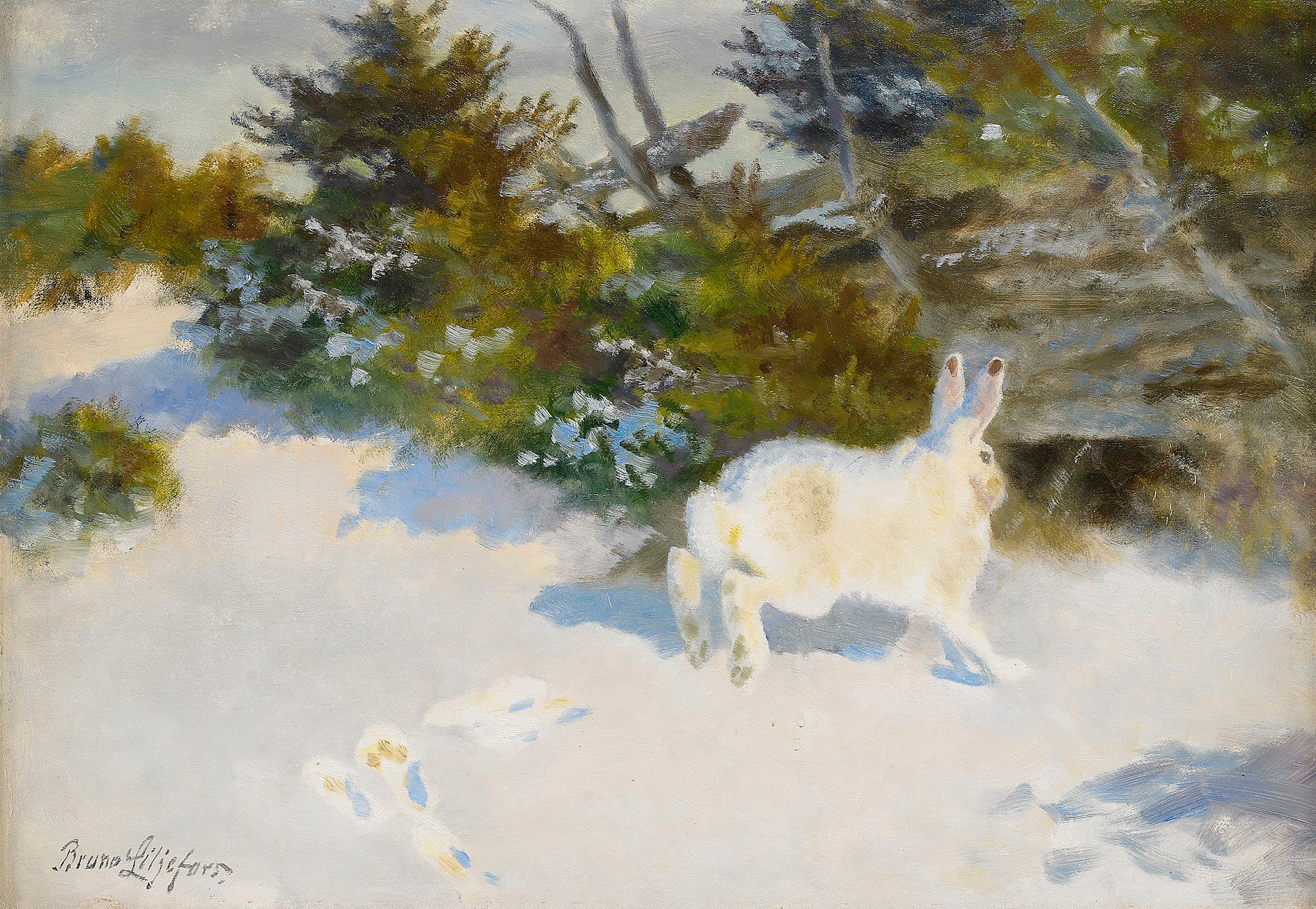 Lièvre dans un paysage hivernal - Bruno Liljefors