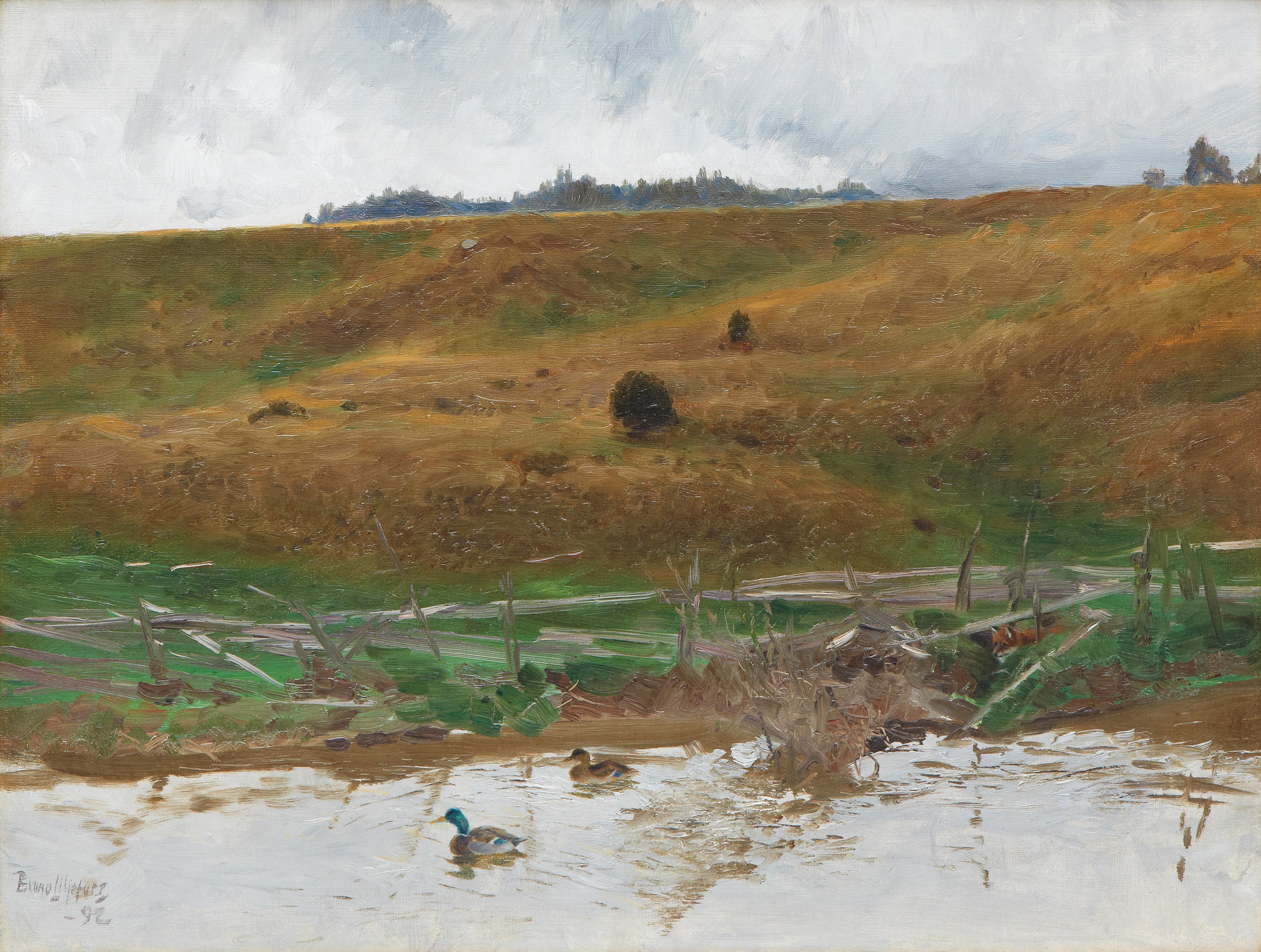 Lac avec des canards - Bruno Liljefors