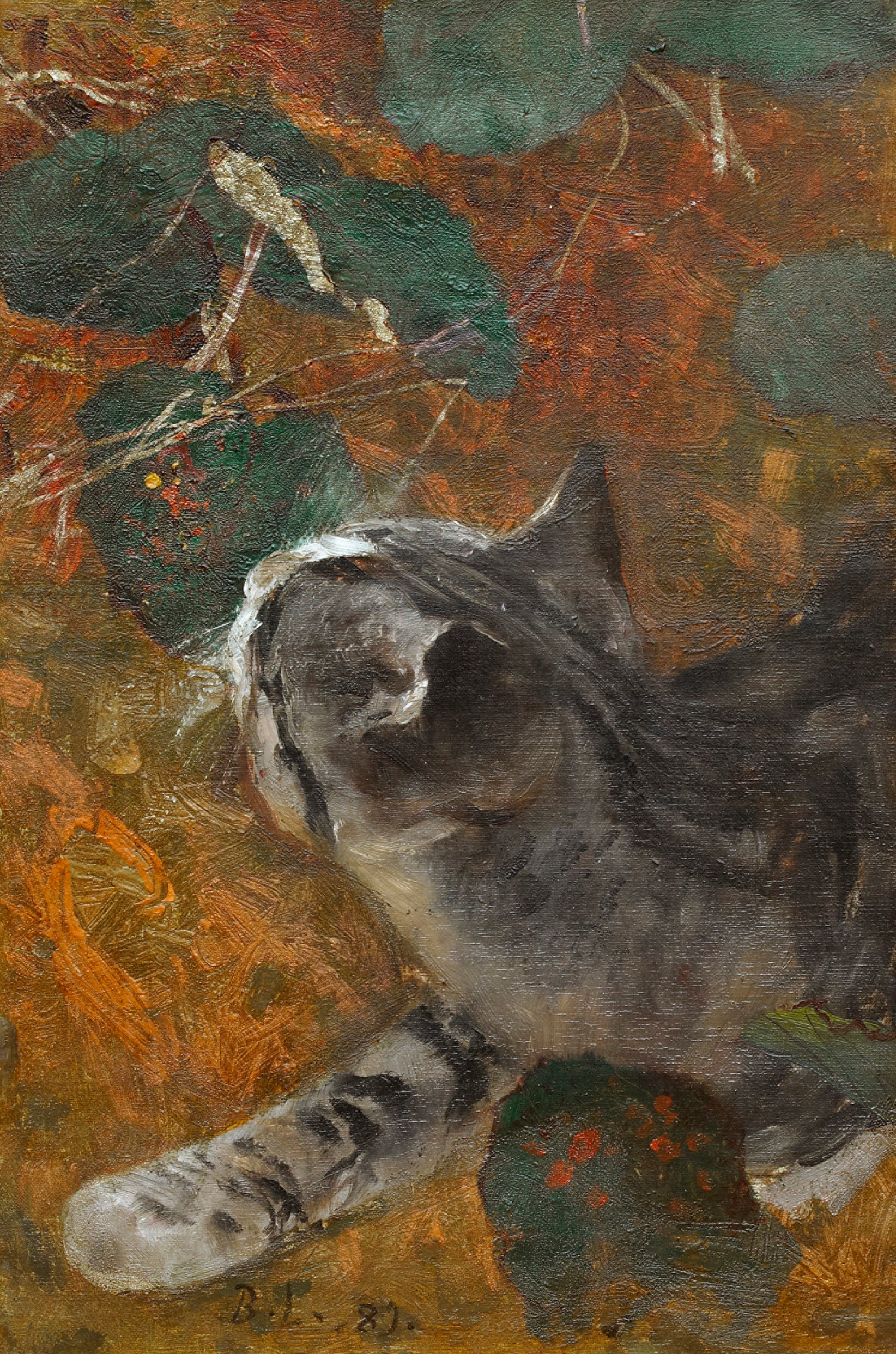 Jeppe le chat - Bruno Liljefors