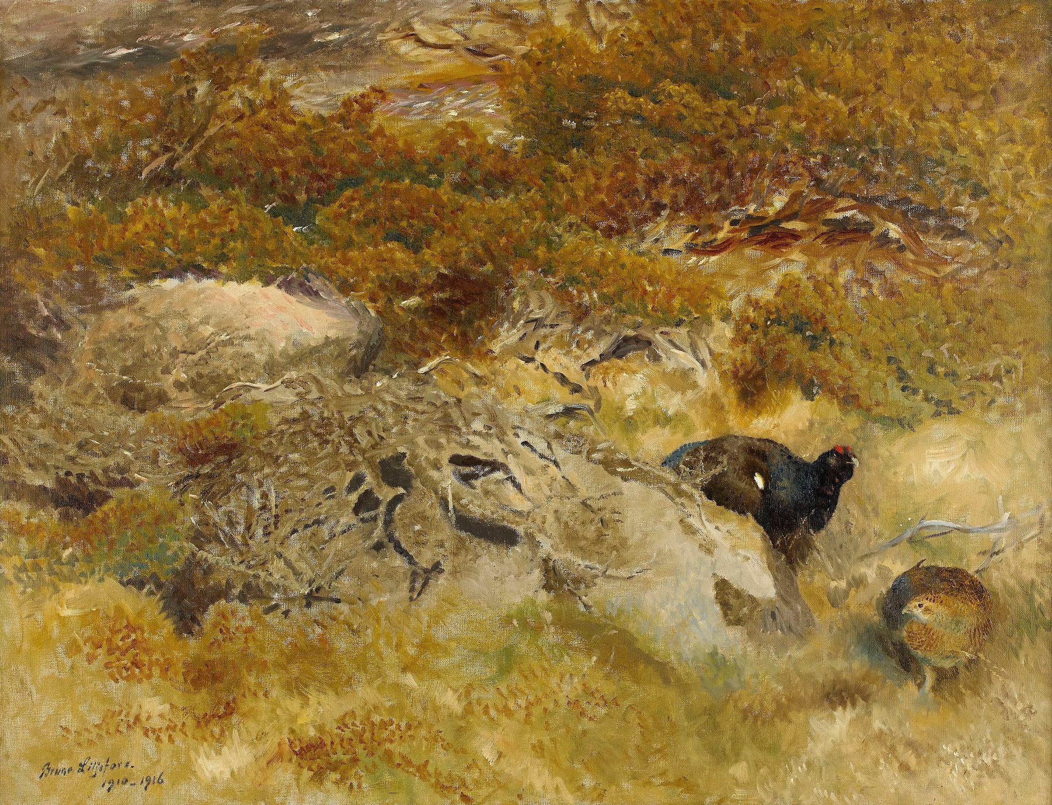 Paysage avec tétras - Bruno Liljefors