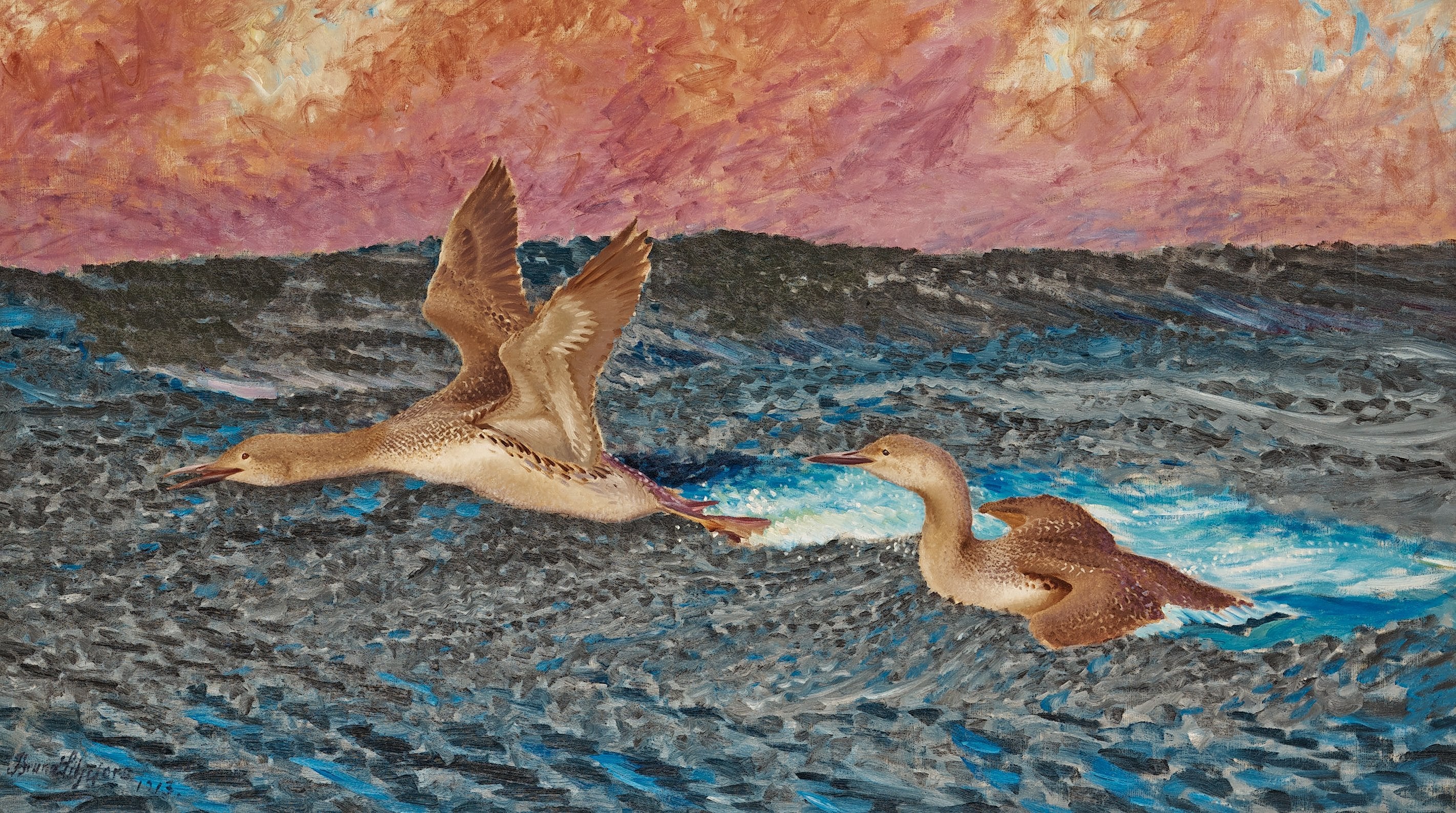 Fous - Bruno Liljefors