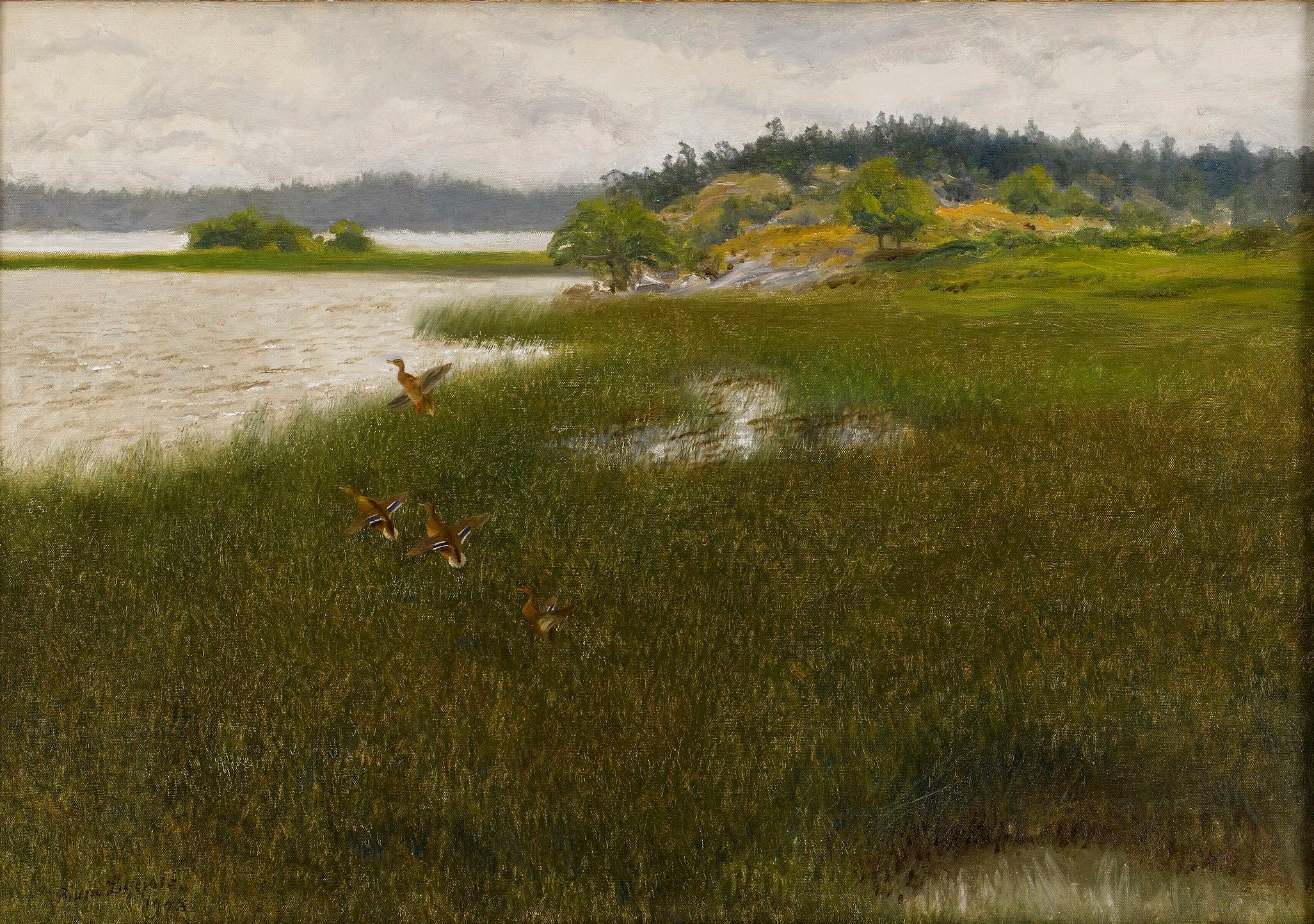 Des canards décollent - Bruno Liljefors