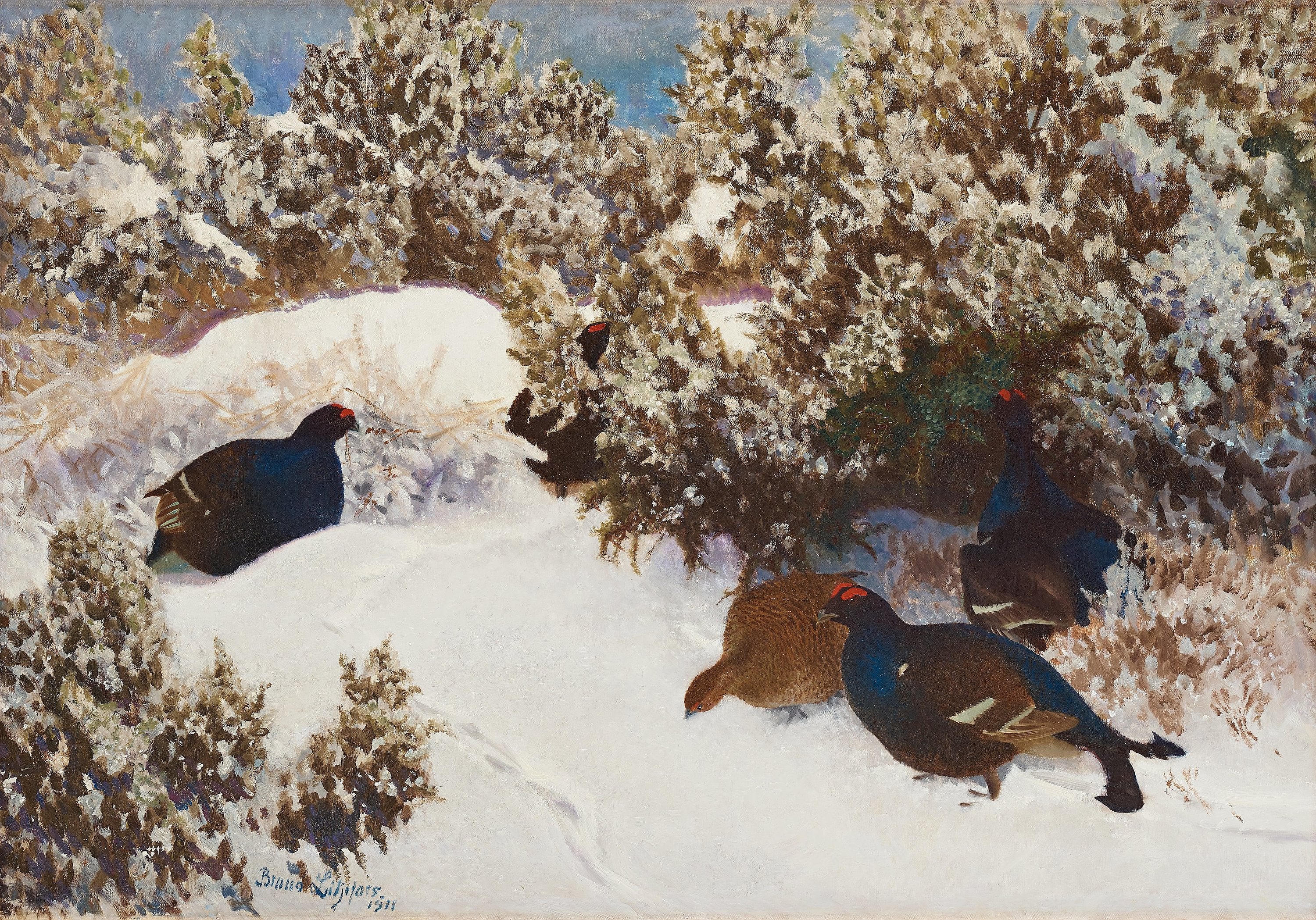 Tétras lyre dans un paysage hivernal - Bruno Liljefors