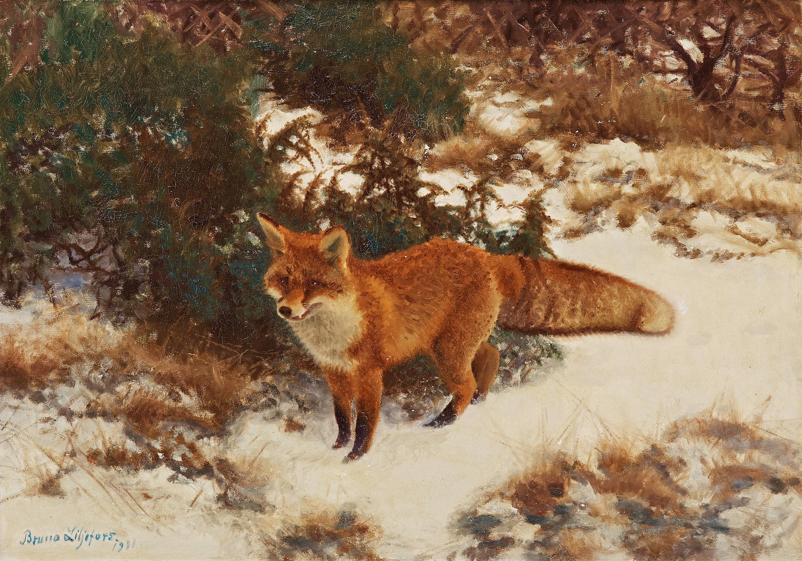 Renard dans la forêt d'hiver - Bruno Liljefors