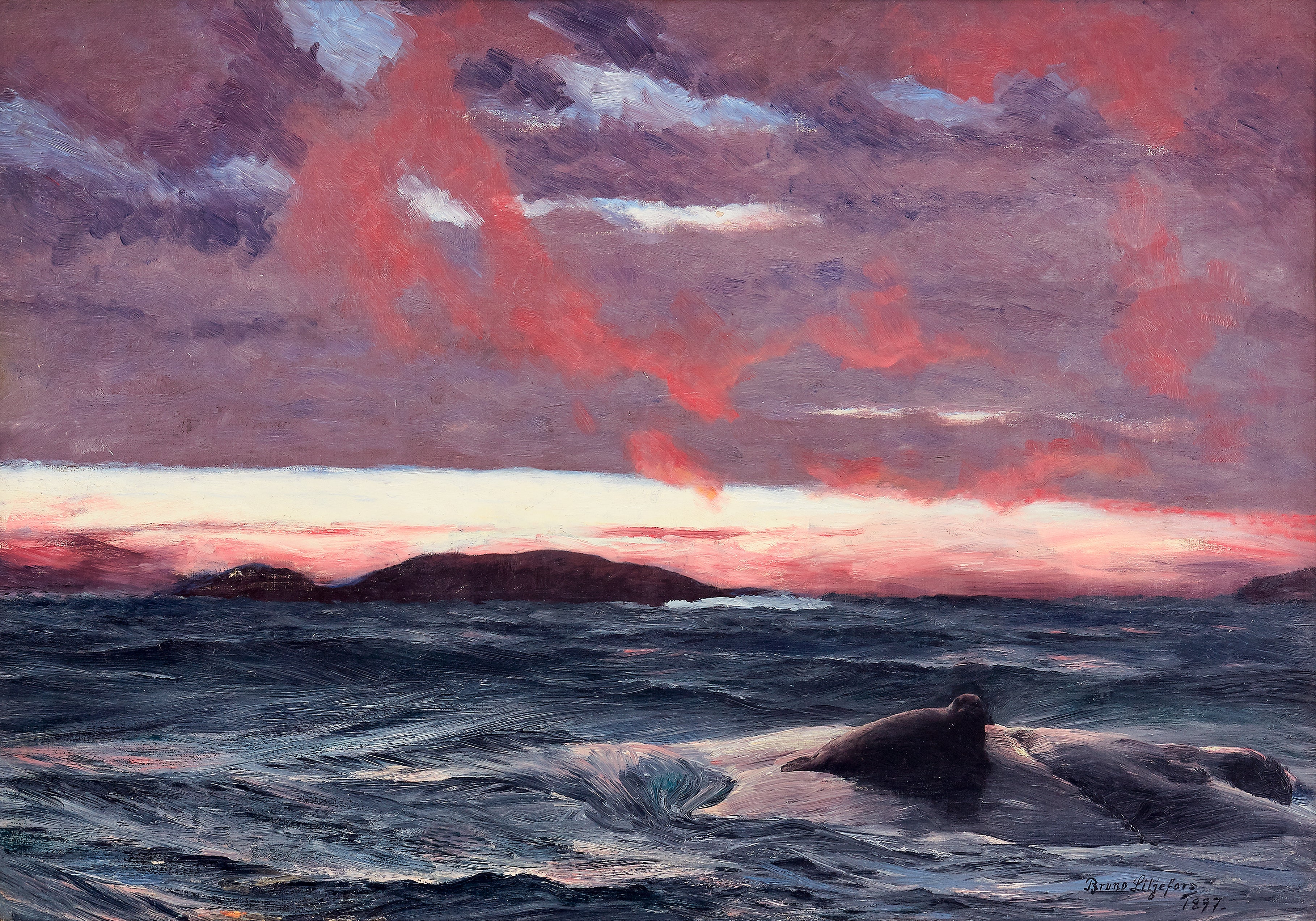 Phoque sur un îlot au coucher du soleil - Bruno Liljefors