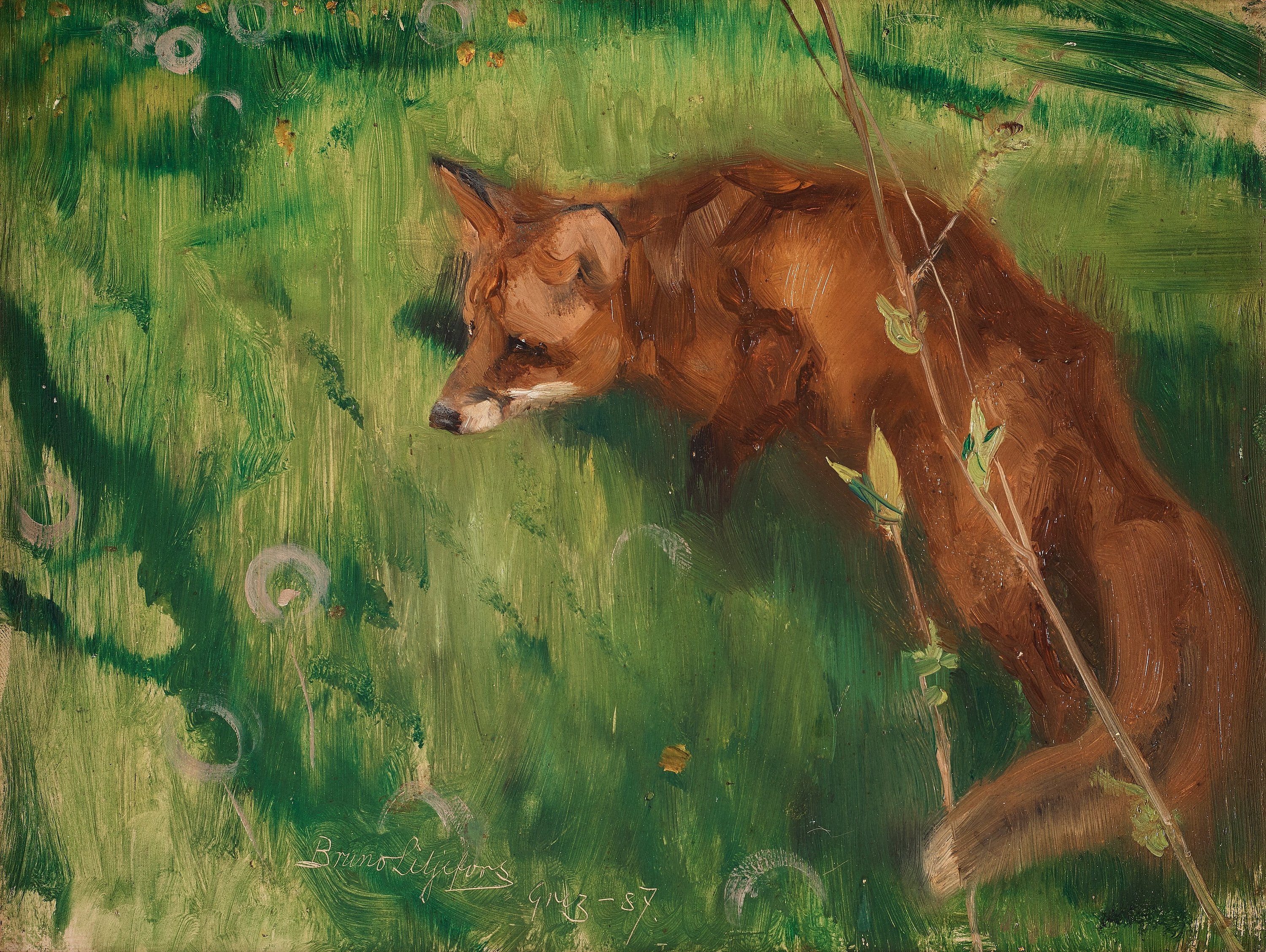 Renard à l'affût, Grez - Bruno Liljefors