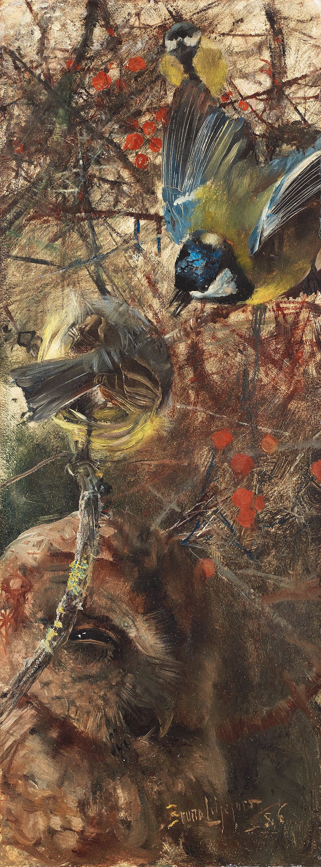 Mésanges charbonnières et chouette - Bruno Liljefors