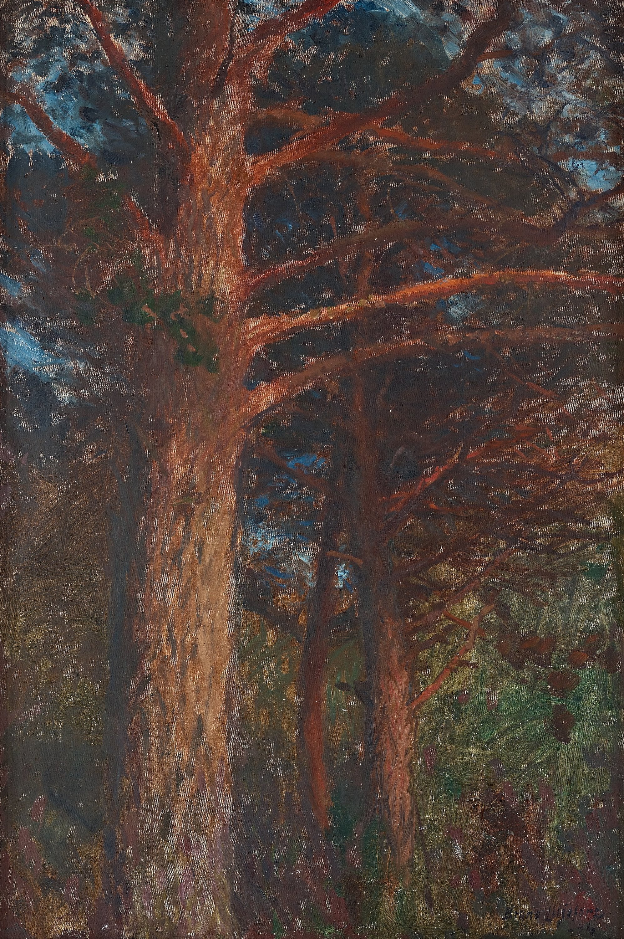 Troncs de pins après le coucher du soleil - Bruno Liljefors