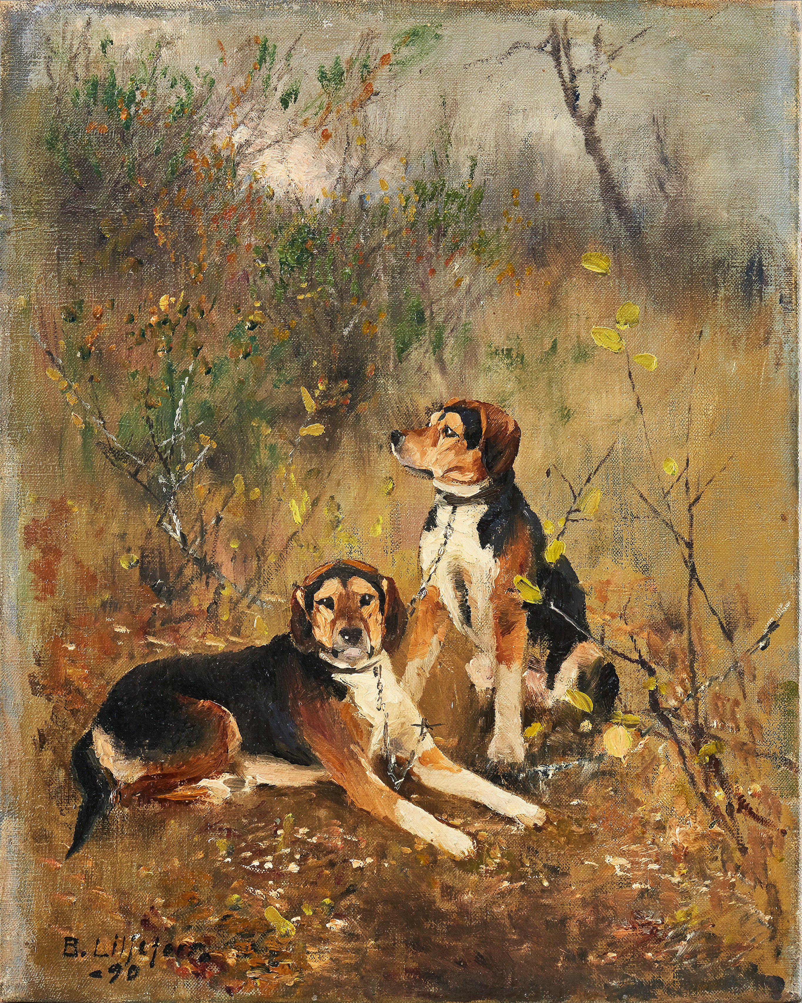 Deux chiens de chasse à l'odeur - Bruno Liljefors