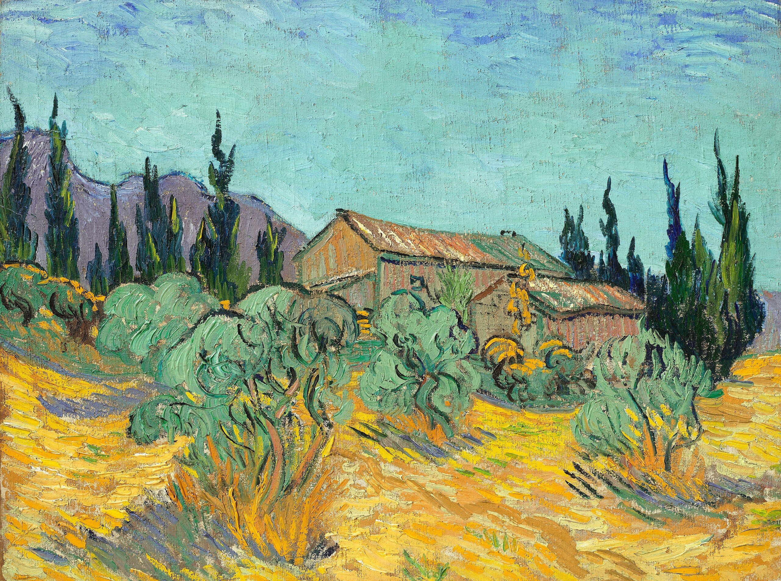 Cabanes de bois parmi les oliviers et cyprès - Vincent van Gogh