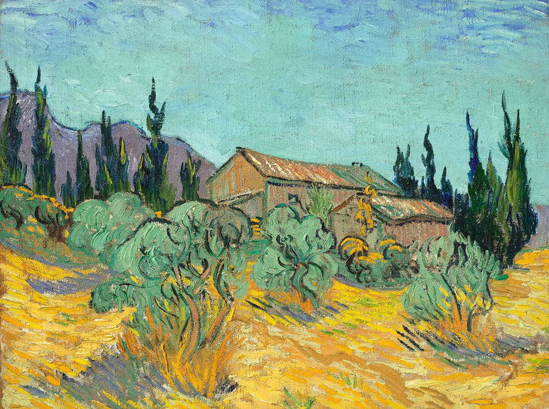 Cabanes de bois parmi les oliviers et cyprès - Vincent van Gogh