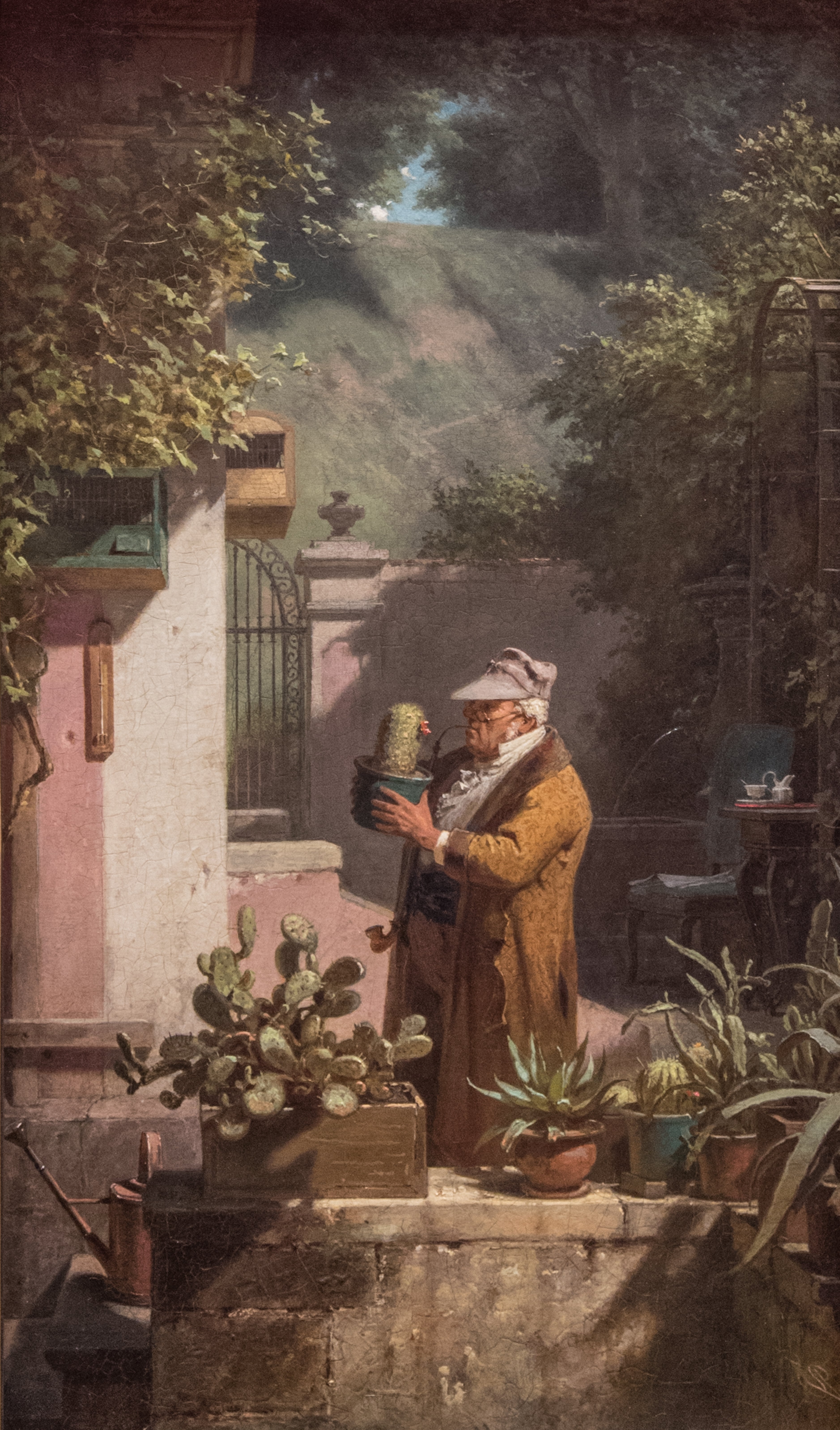 L'amateur de cactus - Carl Spitzweg