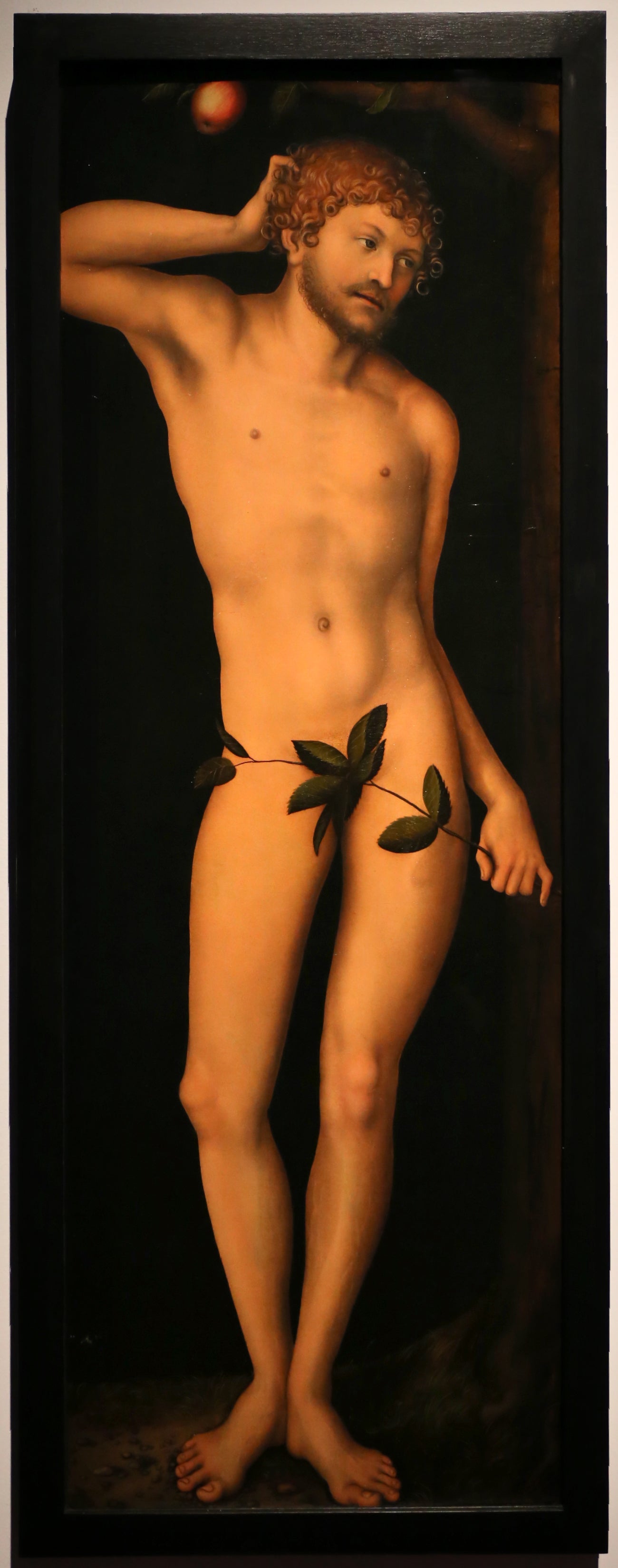Adam - Lucas Cranach the Elder
