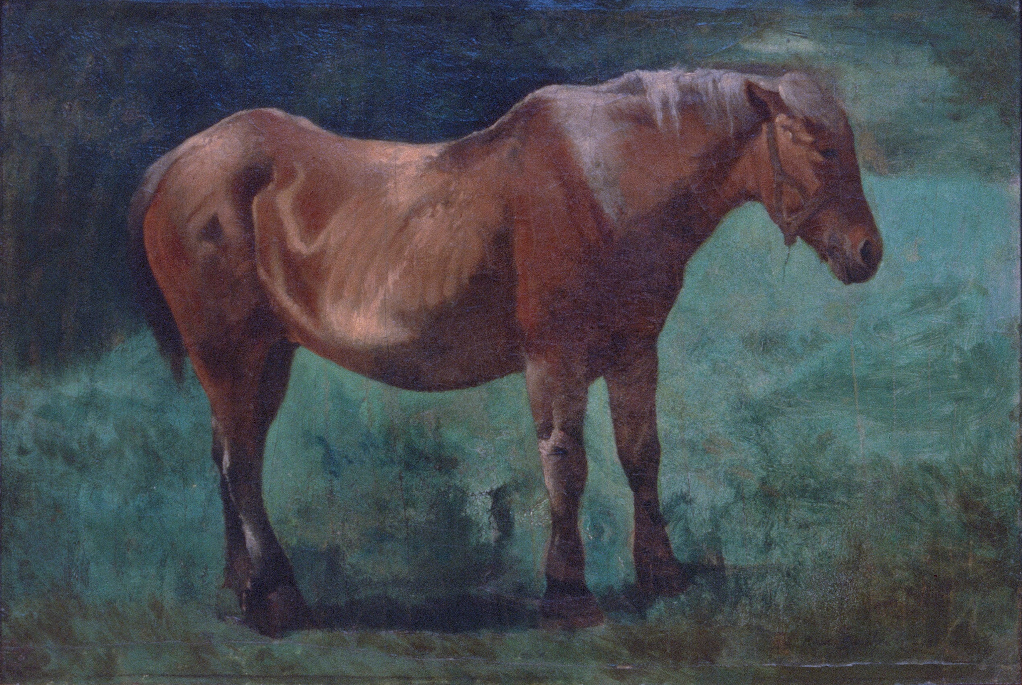 Cheval de laboureur - Rosa Bonheur