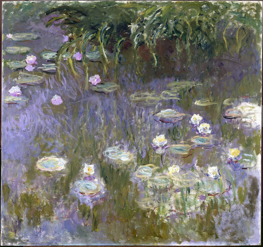 🌿 Nymphéas avec feuillage tombant