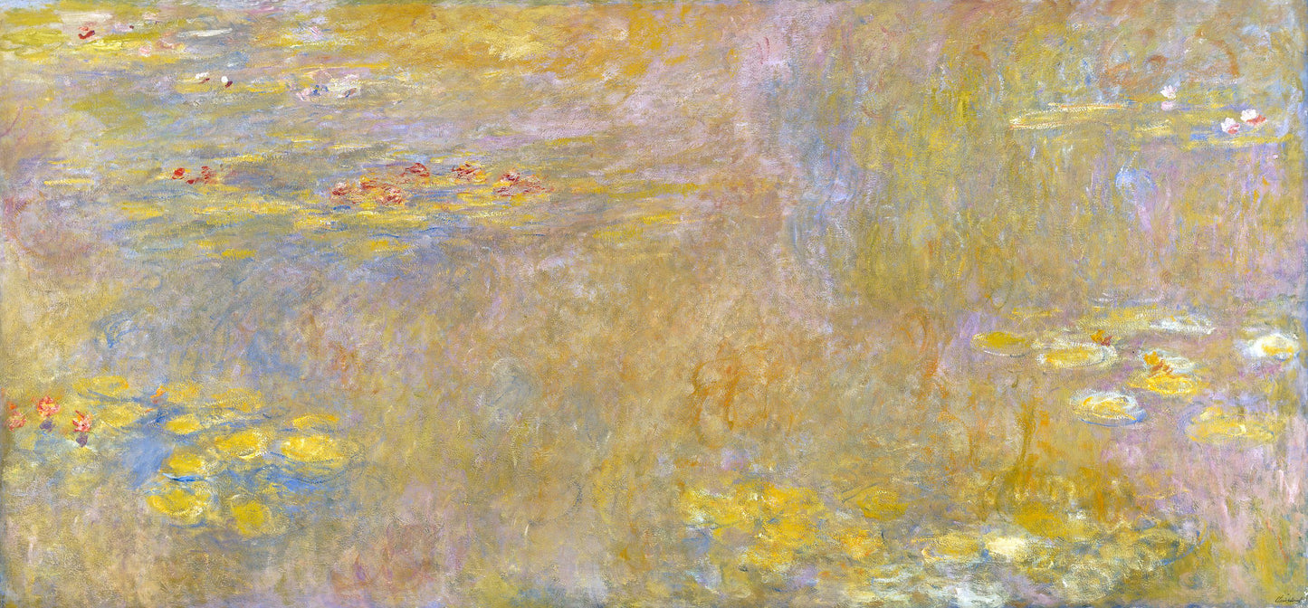 🌞 Nymphéas jaunes et roses – Vers 1920