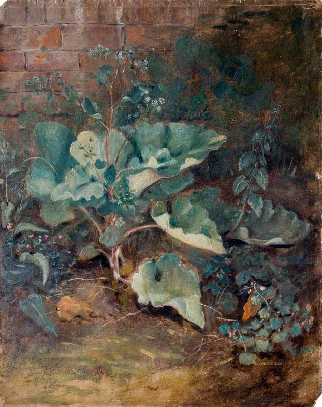 Plantes poussant près d'un mur - John Constable