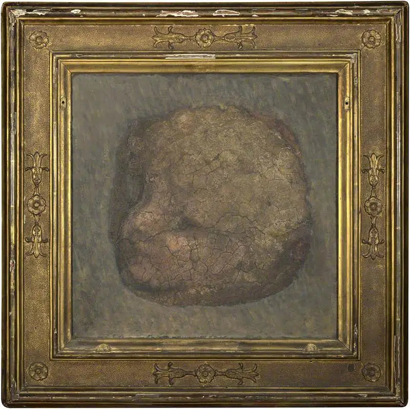 Tête d'ange - Antonio da Correggio