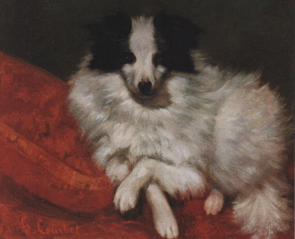 Étude de chien - Gustave Courbet