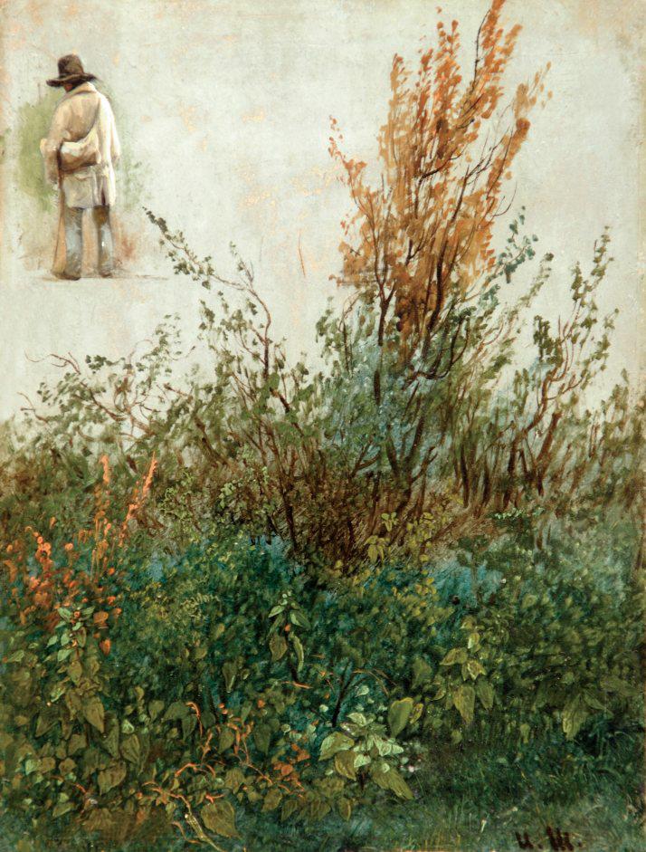 Q43517154 - Ivan Chichkine